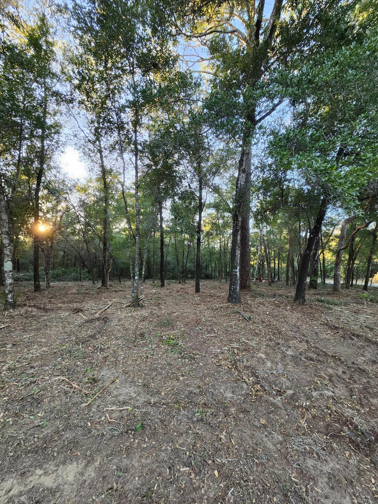 Sunny Hills S/D Unit 1 - Land