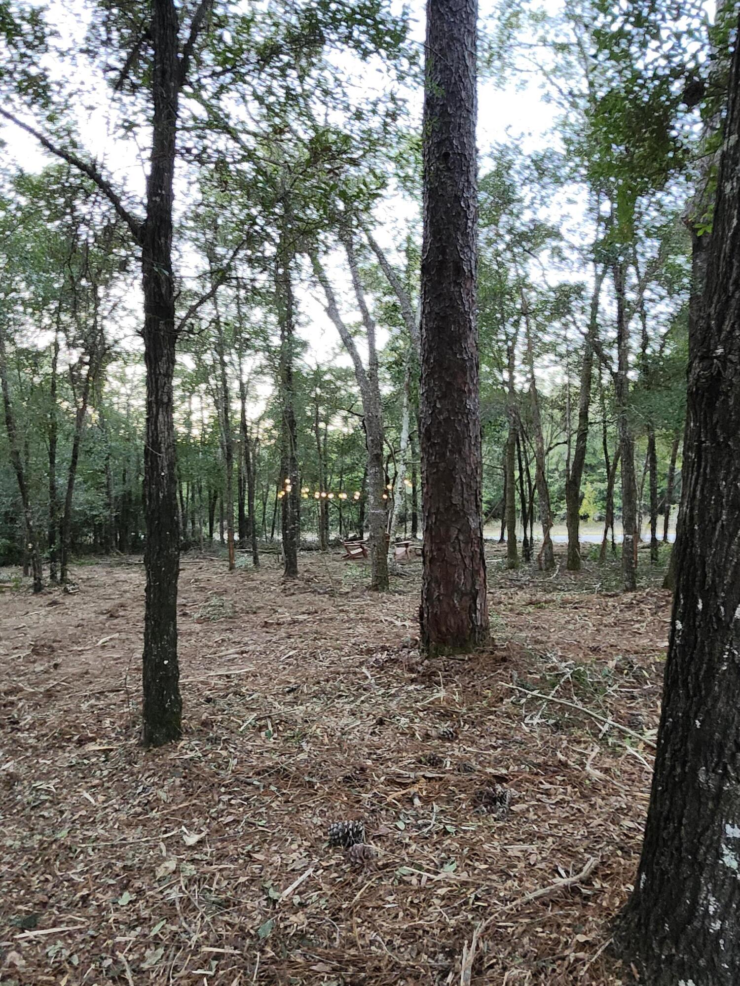 Sunny Hills S/D Unit 1 - Land