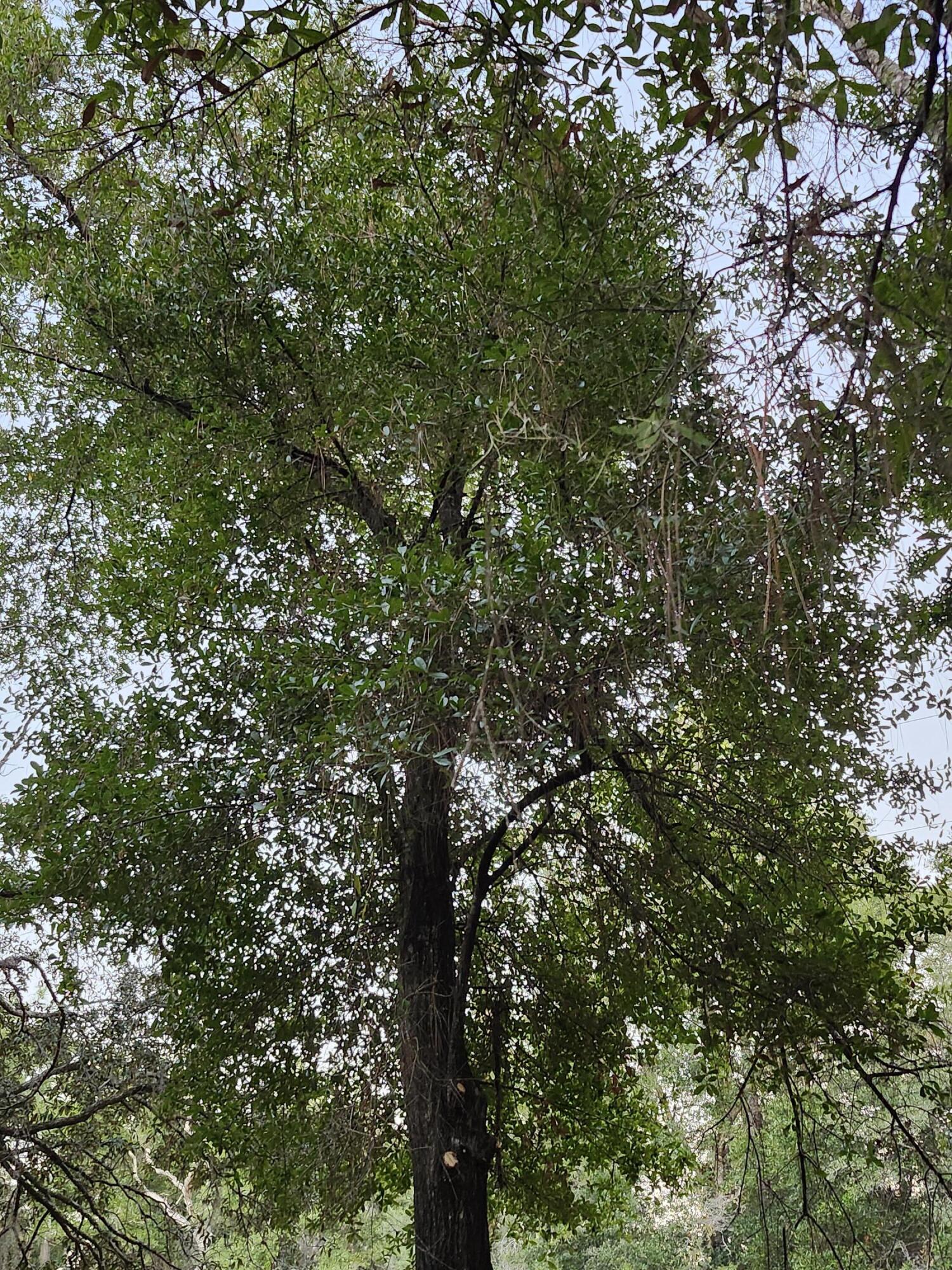 Sunny Hills S/D Unit 1 - Land