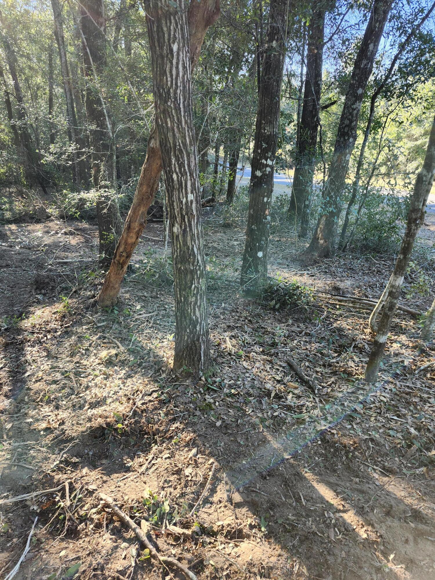 Sunny Hills S/D Unit 1 - Land