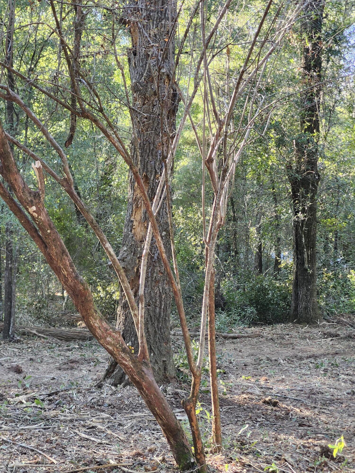 Sunny Hills S/D Unit 1 - Land