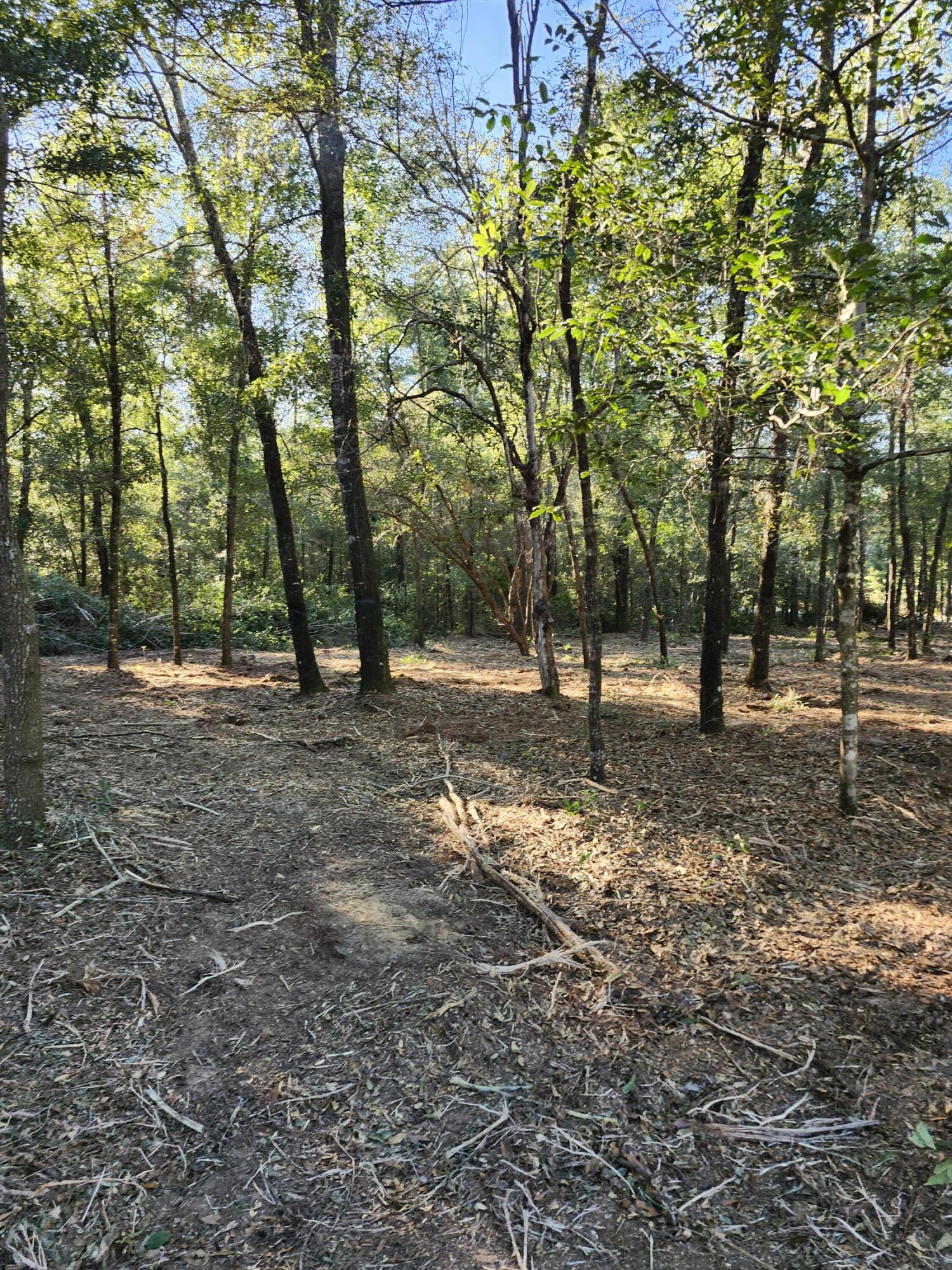 Sunny Hills S/D Unit 1 - Land