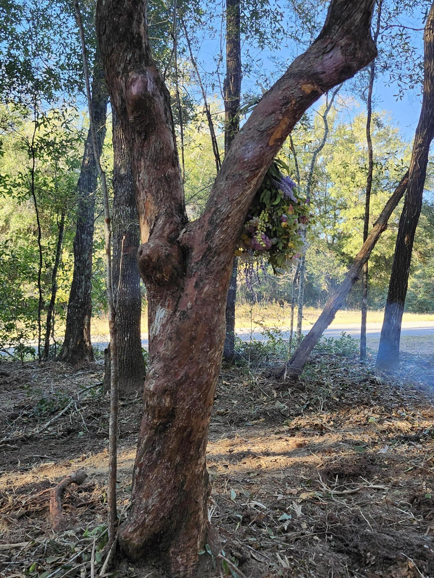 Sunny Hills S/D Unit 1 - Land