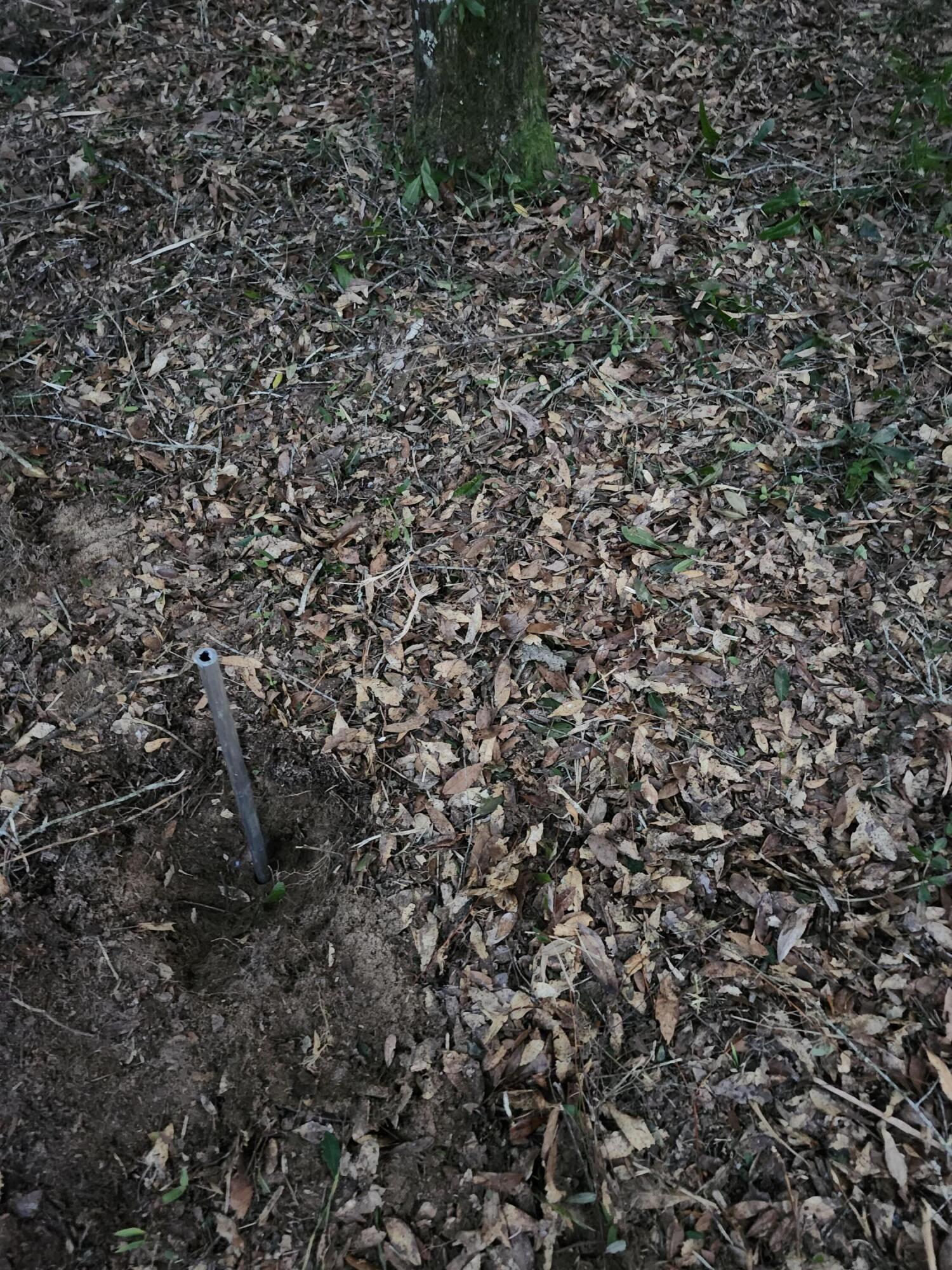 Sunny Hills S/D Unit 1 - Land