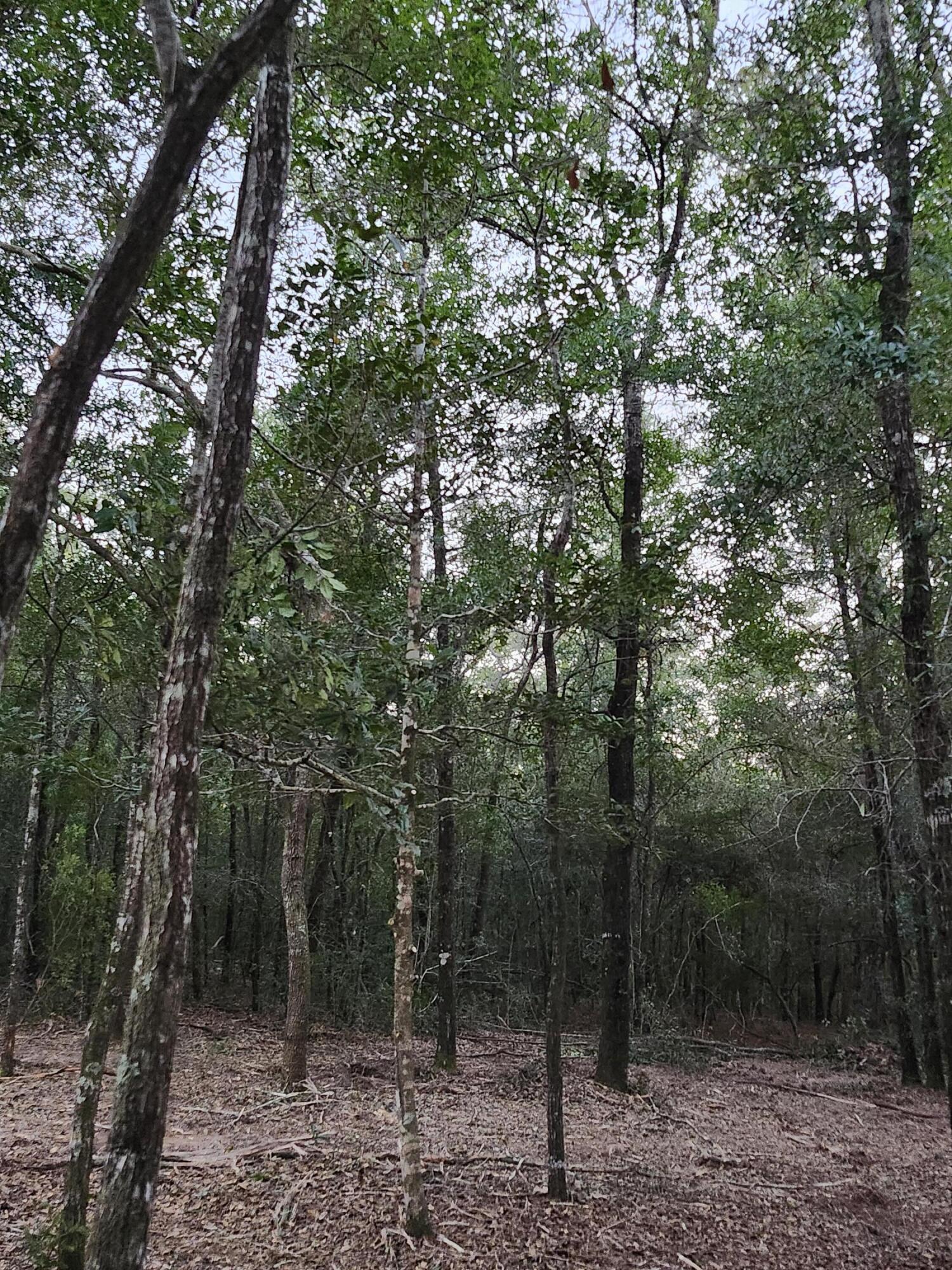 Sunny Hills S/D Unit 1 - Land