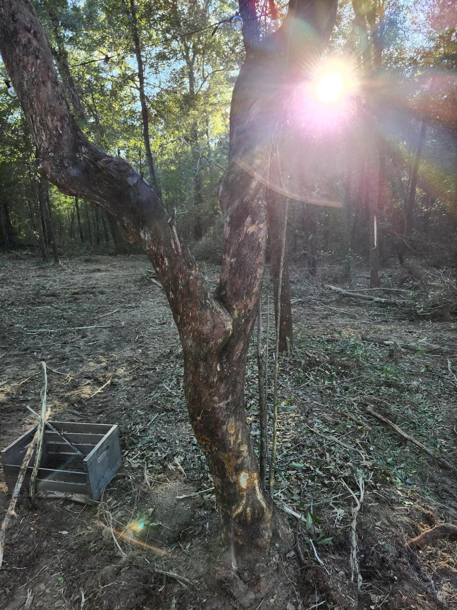 Sunny Hills S/D Unit 1 - Land