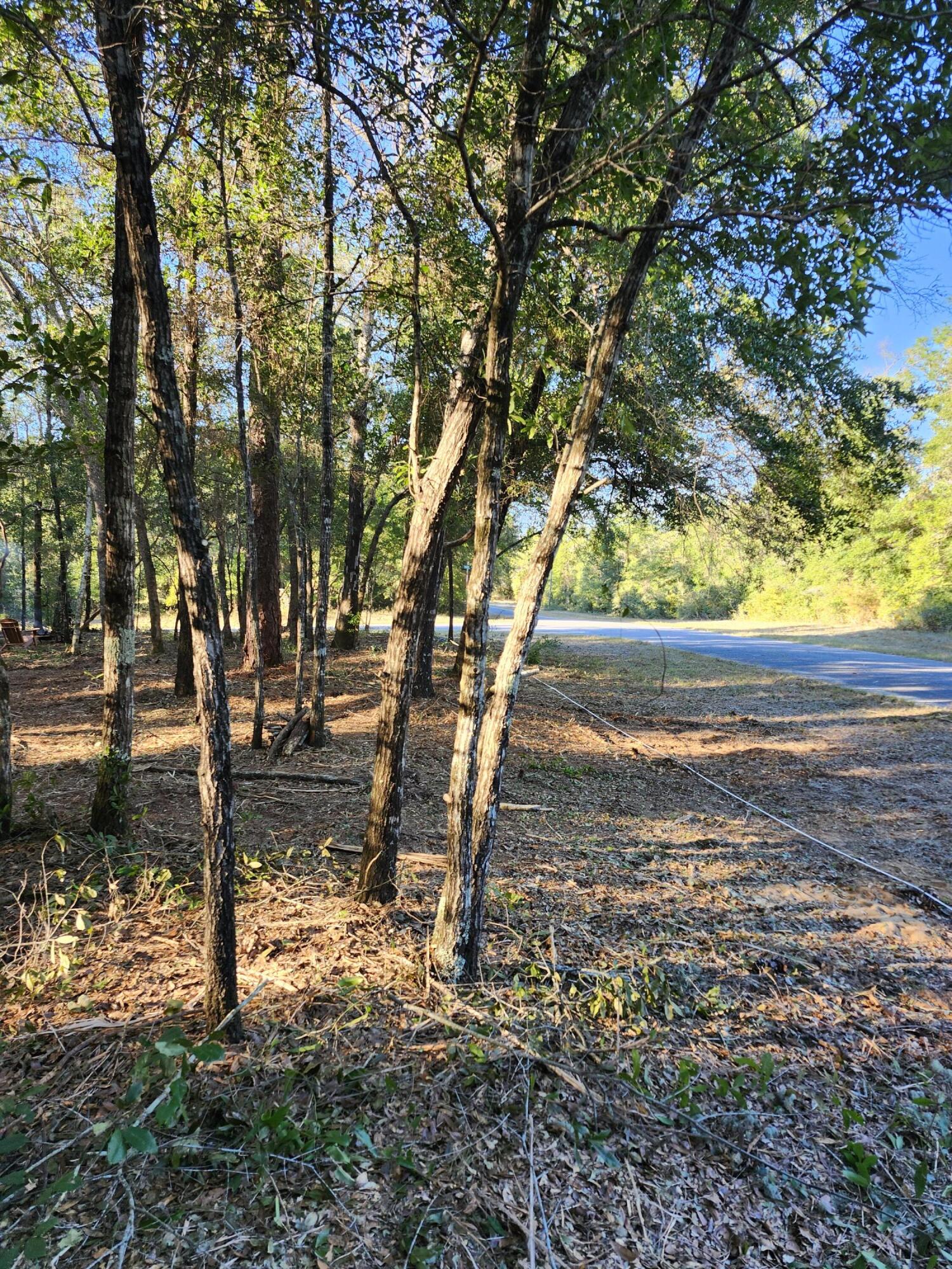 Sunny Hills S/D Unit 1 - Land