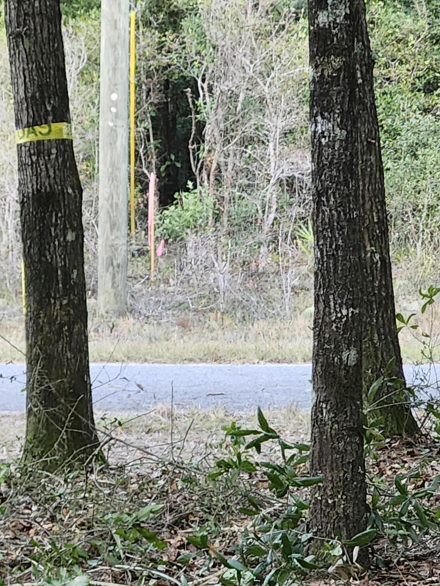 Sunny Hills S/D Unit 1 - Land