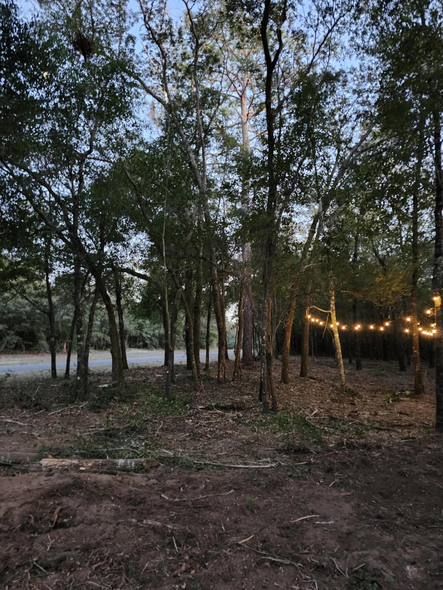 Sunny Hills S/D Unit 1 - Land