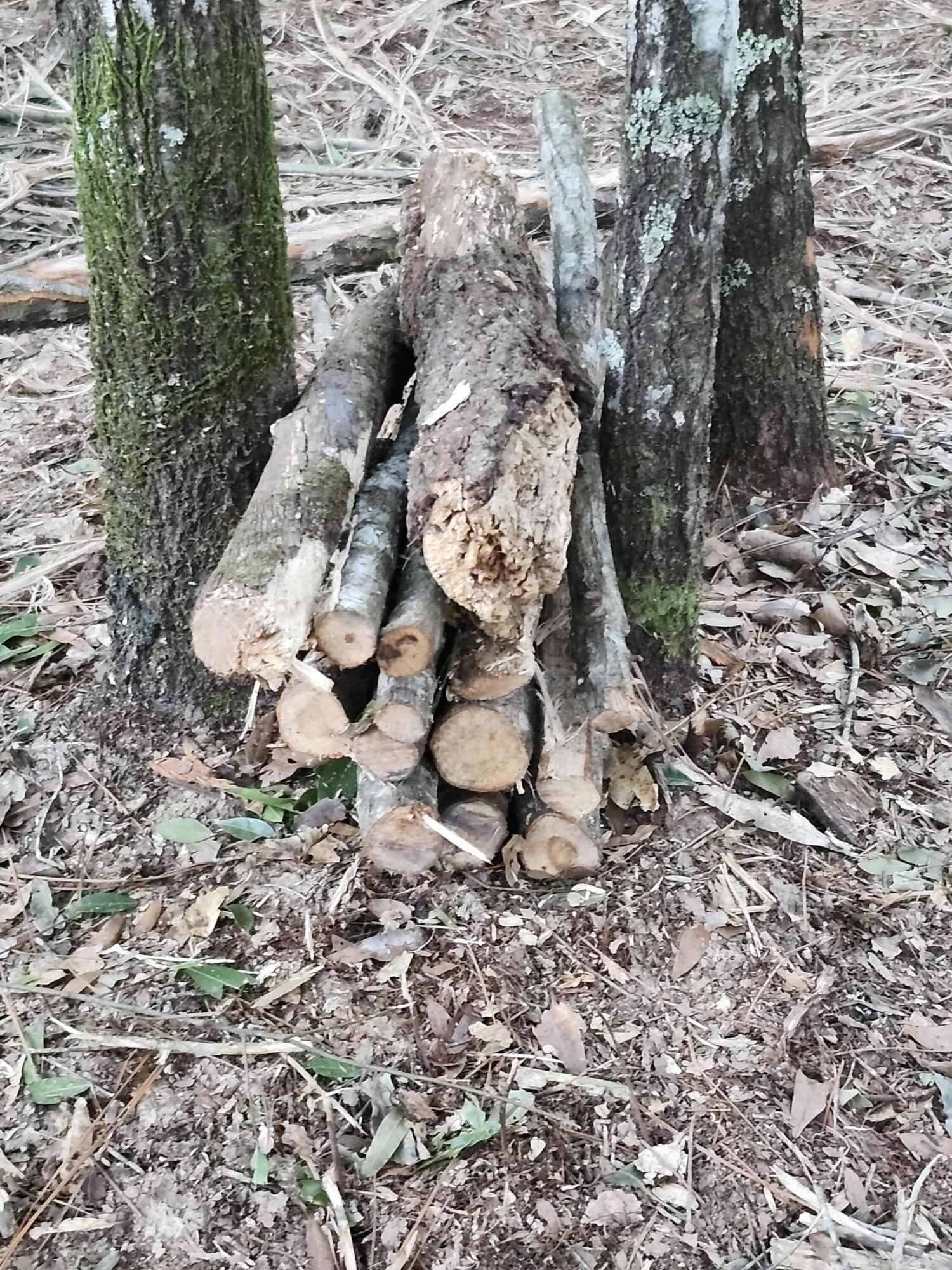 Sunny Hills S/D Unit 1 - Land