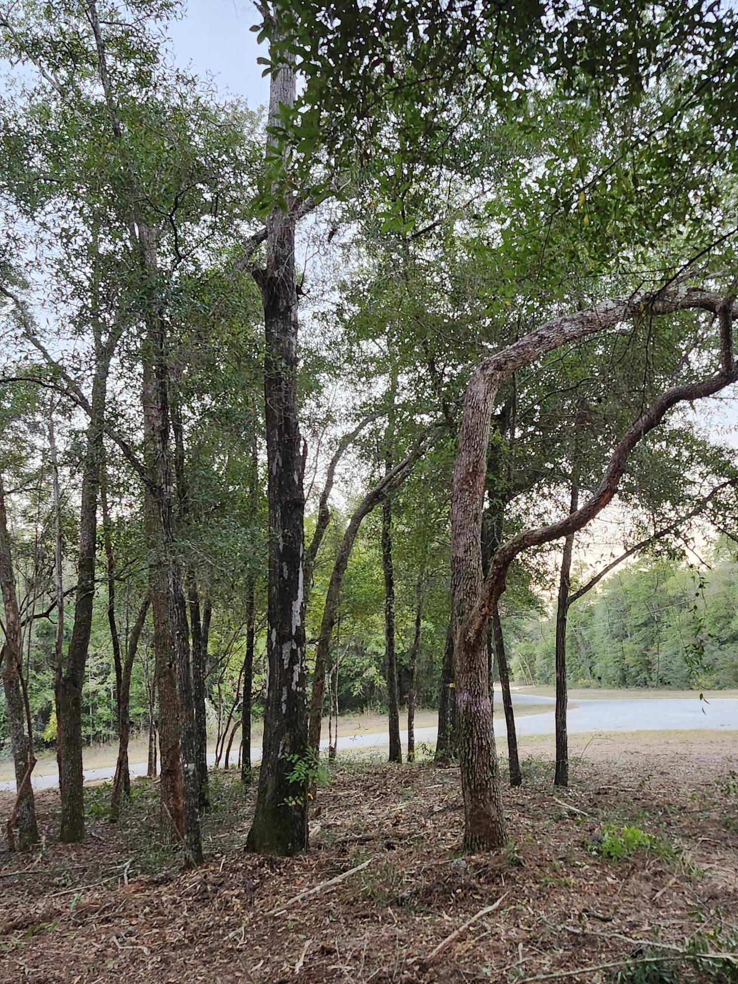 Sunny Hills S/D Unit 1 - Land