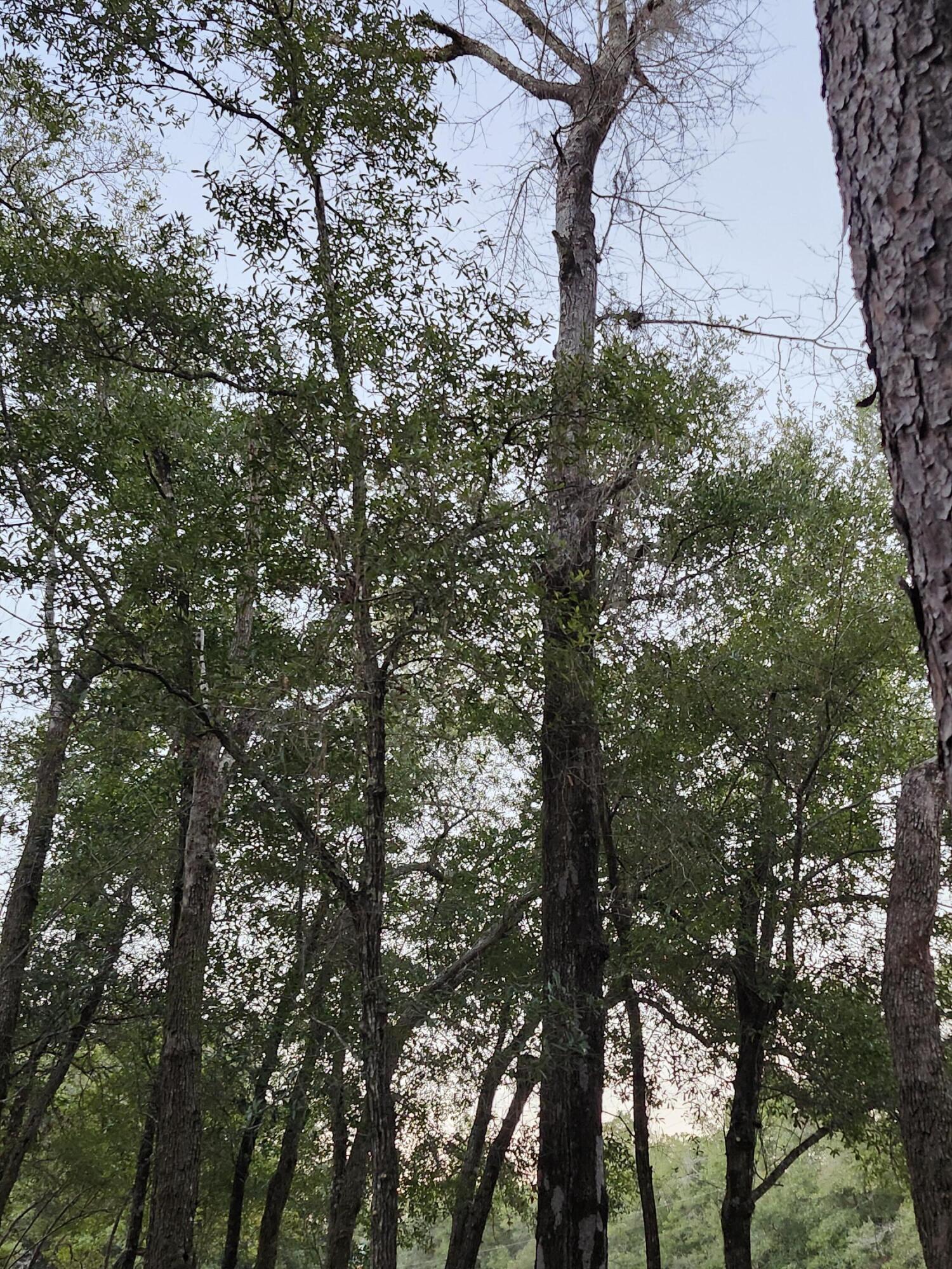 Sunny Hills S/D Unit 1 - Land