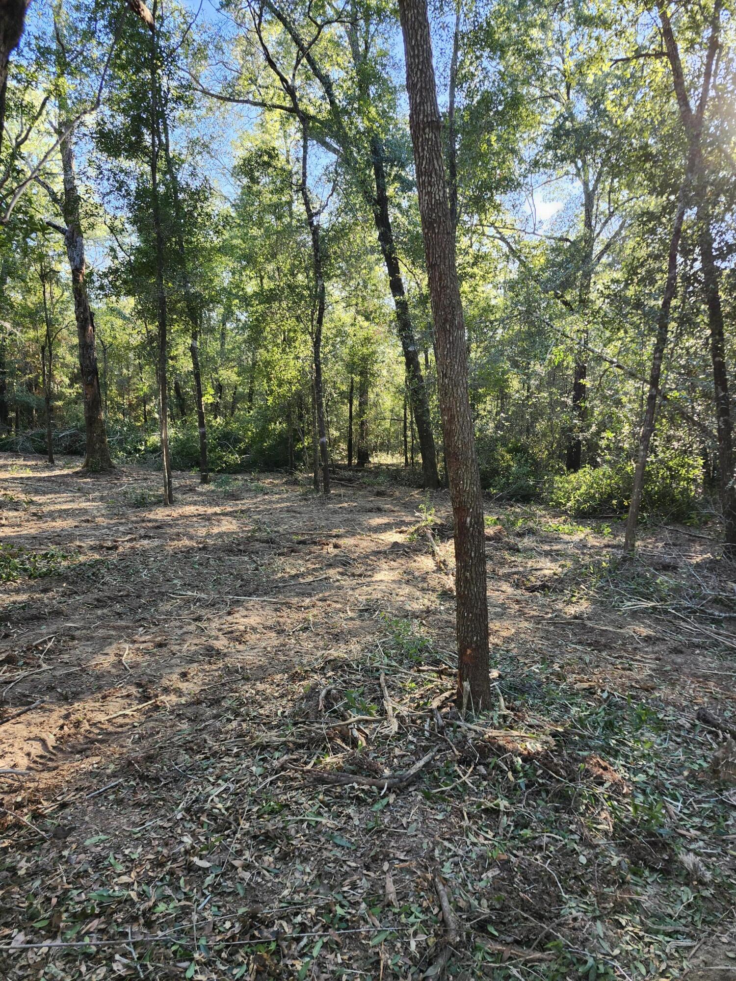 Sunny Hills S/D Unit 1 - Land