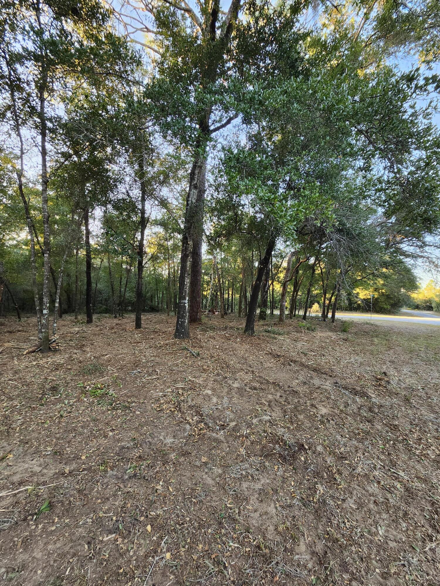 Sunny Hills S/D Unit 1 - Land