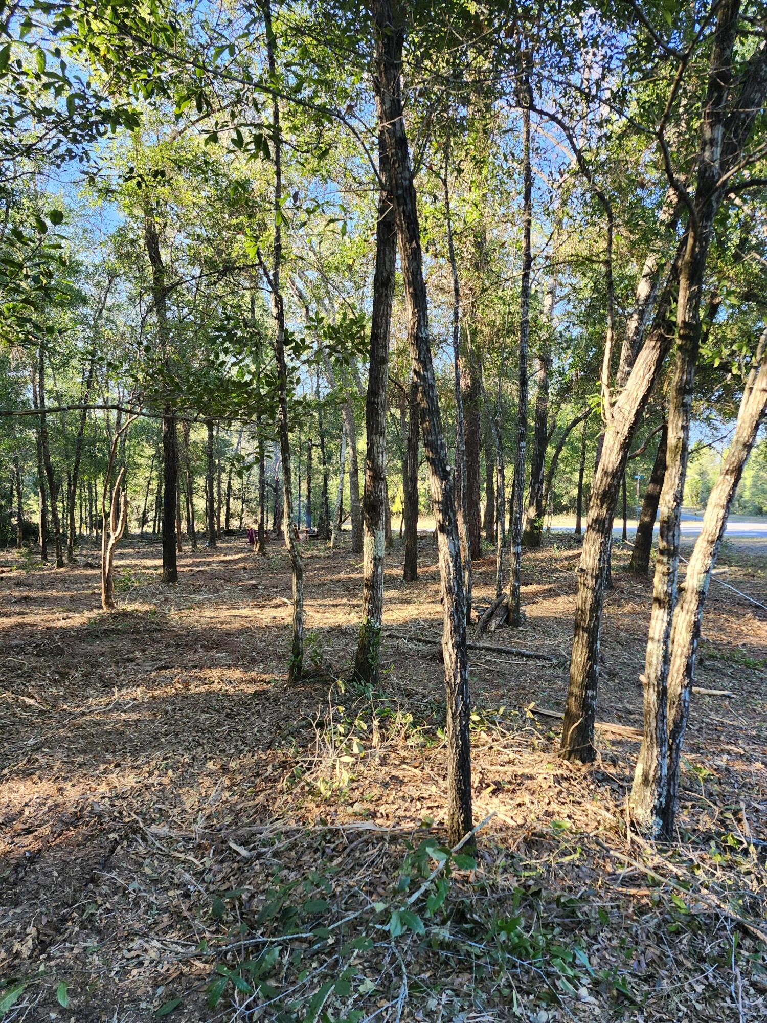 Sunny Hills S/D Unit 1 - Land