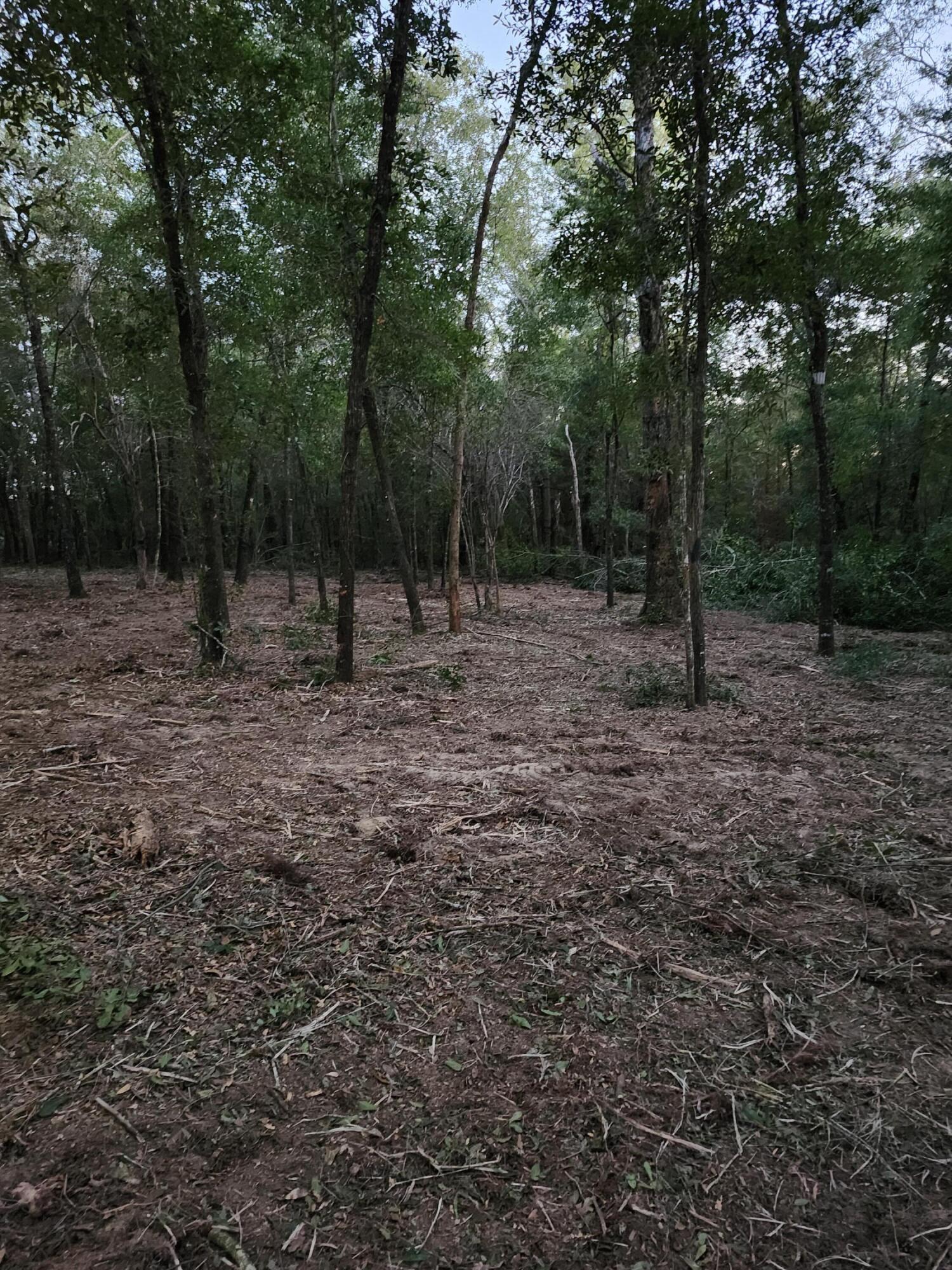 Sunny Hills S/D Unit 1 - Land