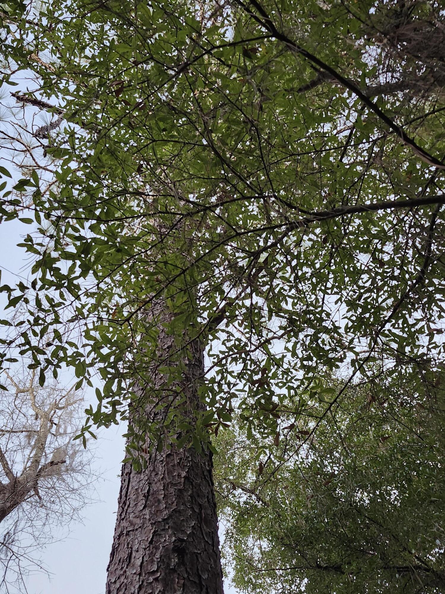 Sunny Hills S/D Unit 1 - Land