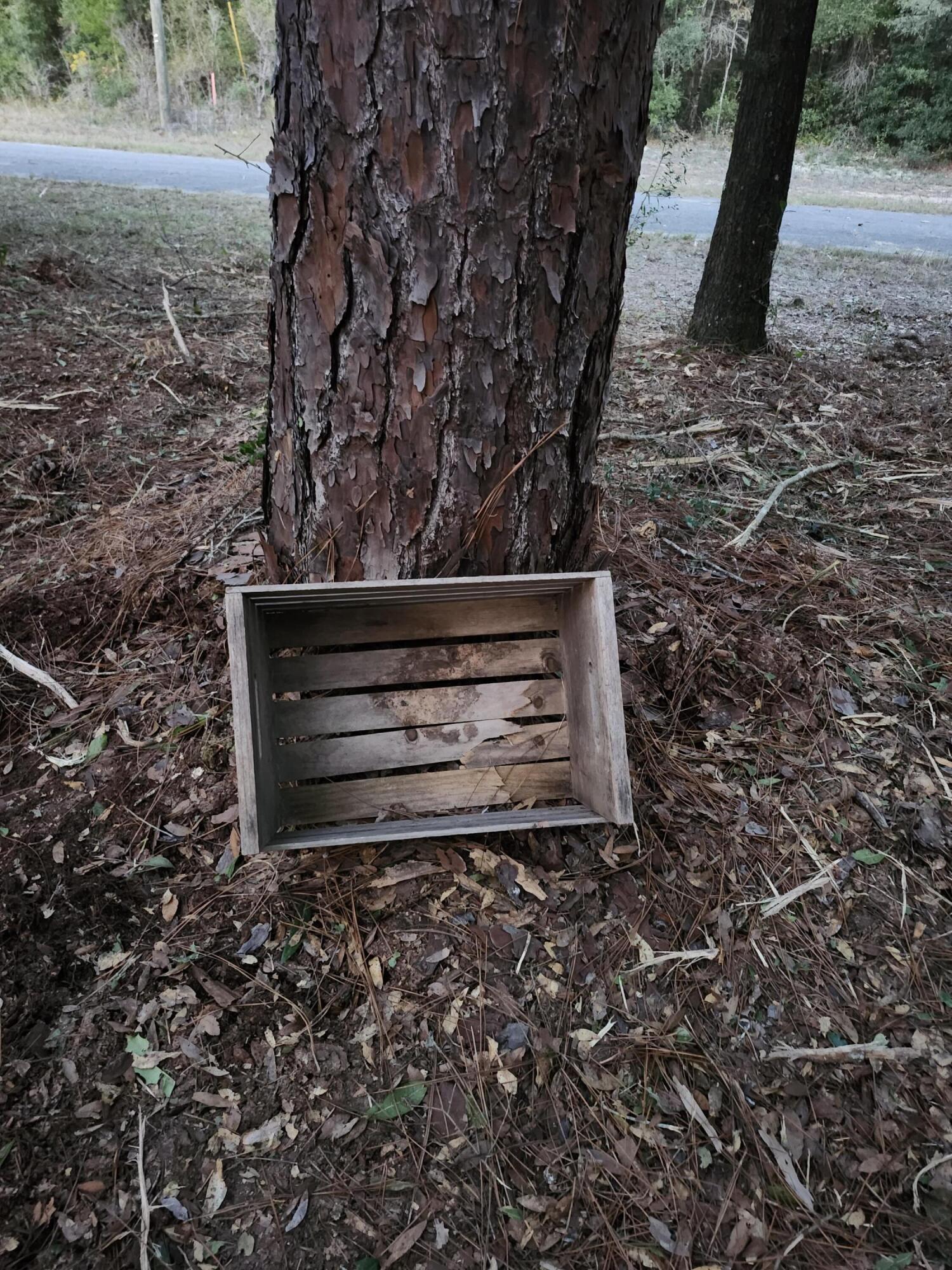 Sunny Hills S/D Unit 1 - Land