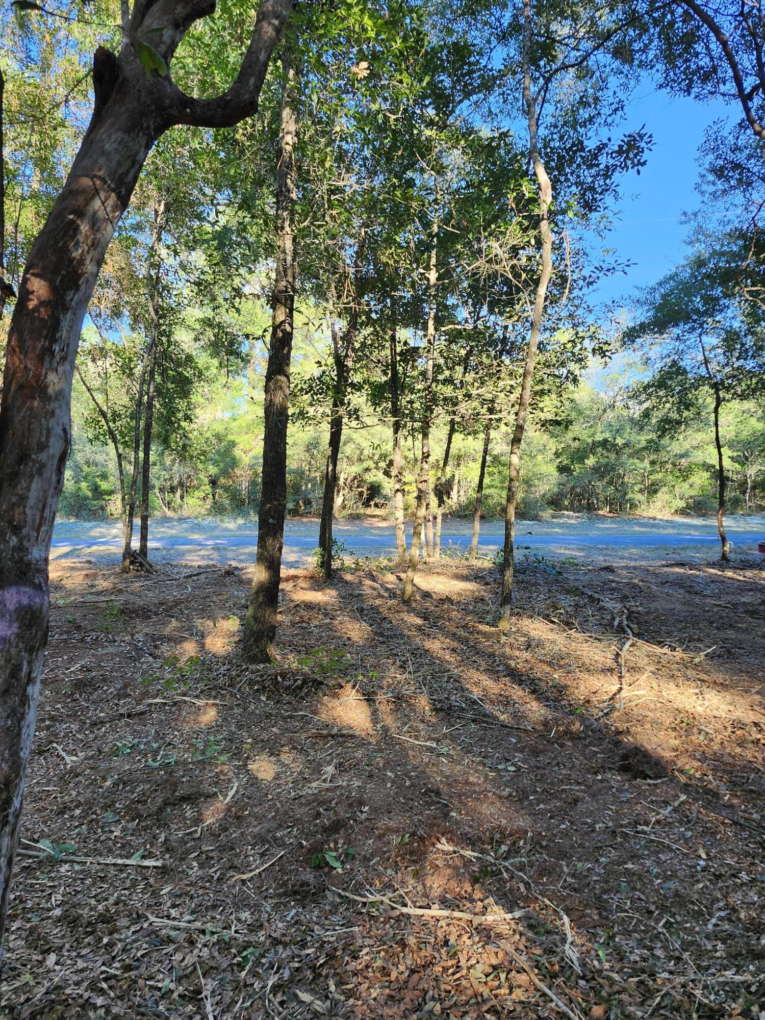 Sunny Hills S/D Unit 1 - Land