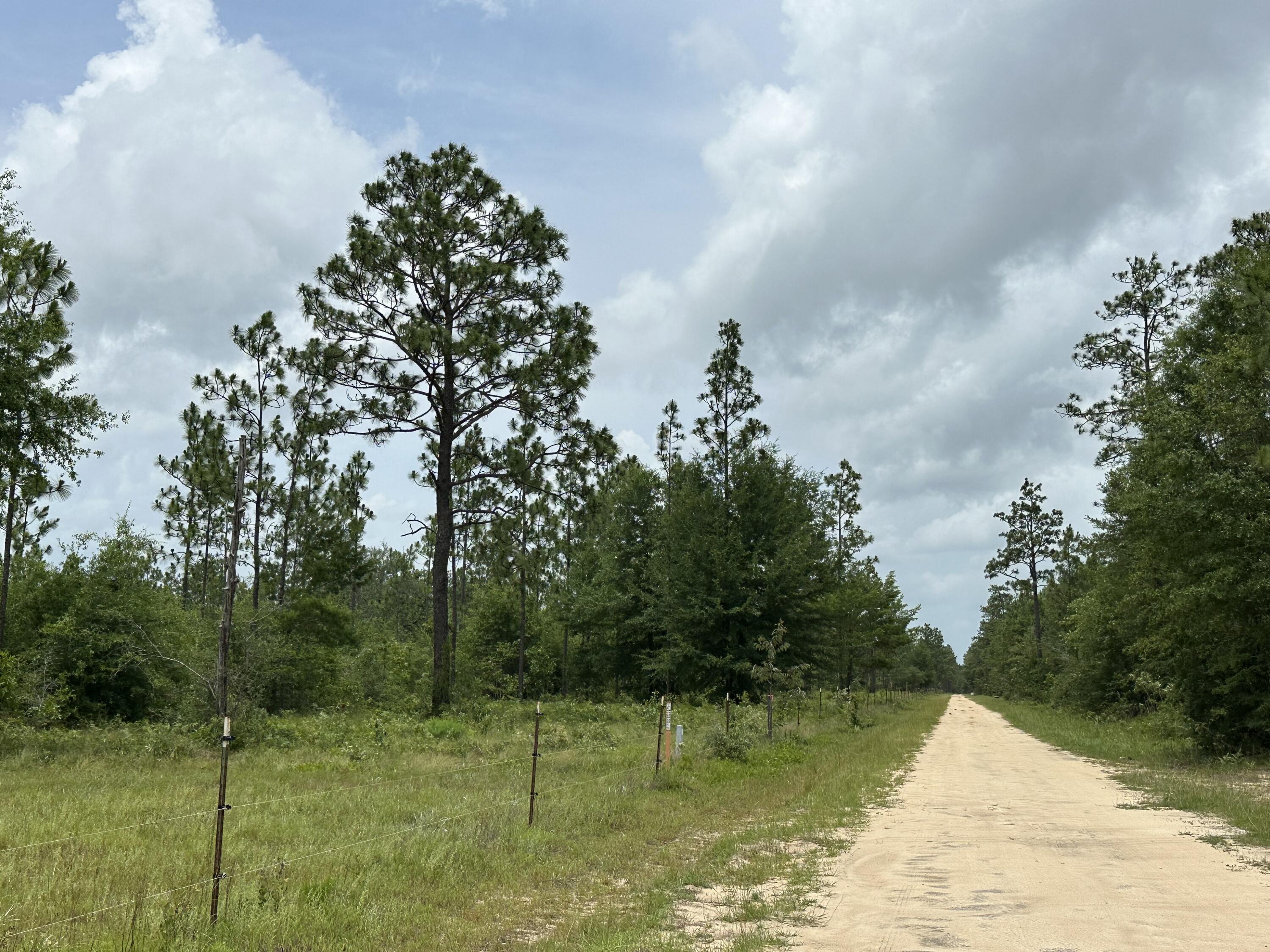 METES & BOUNDS - Land