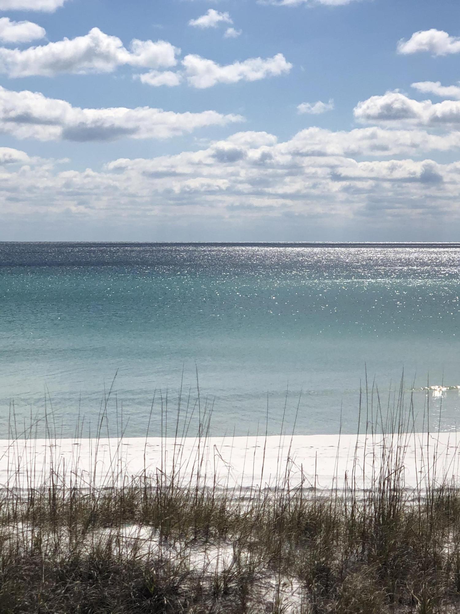 DESTINY BY THE SEA S/D - Land