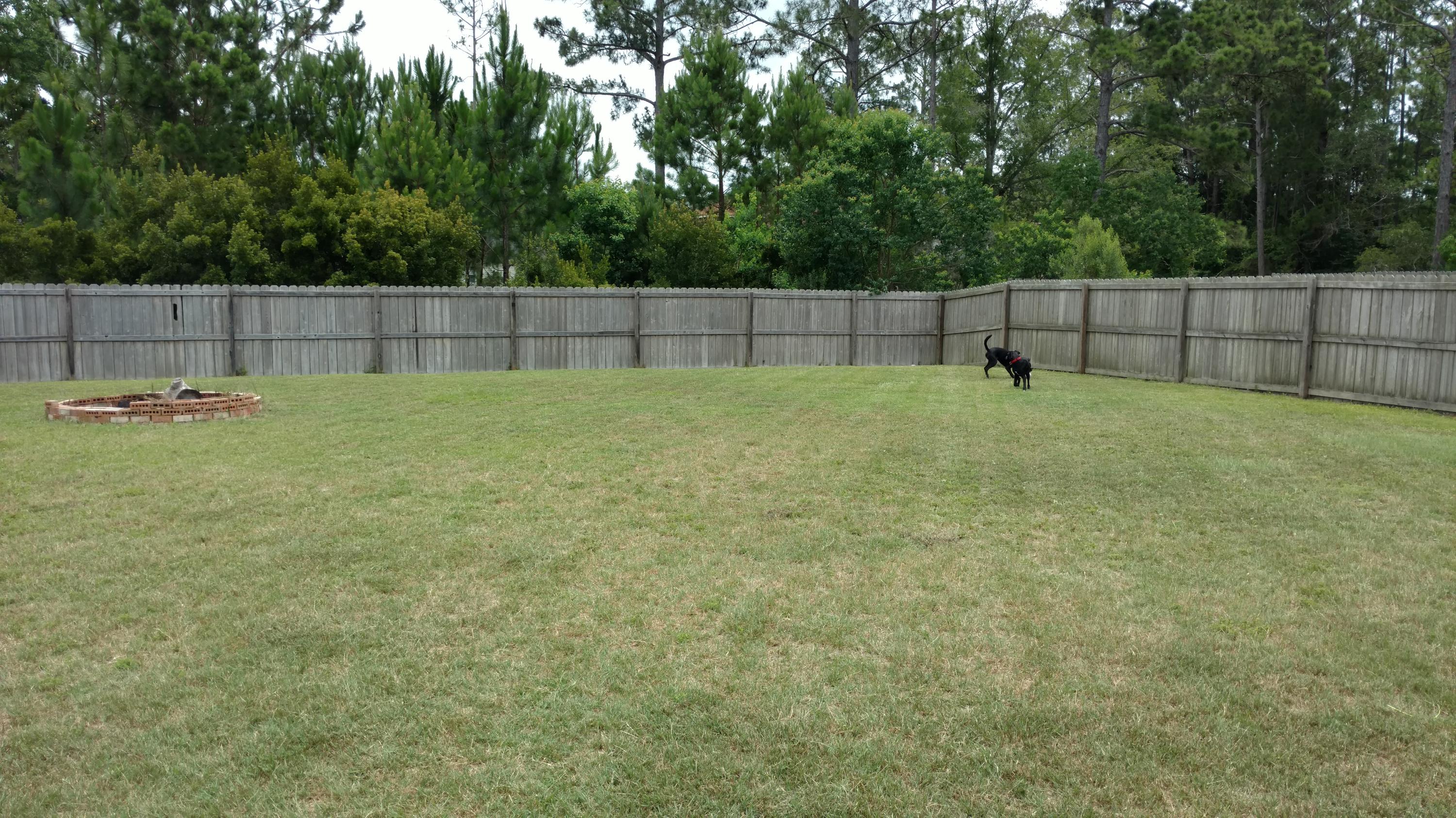 BRANDON OAKS - Residential