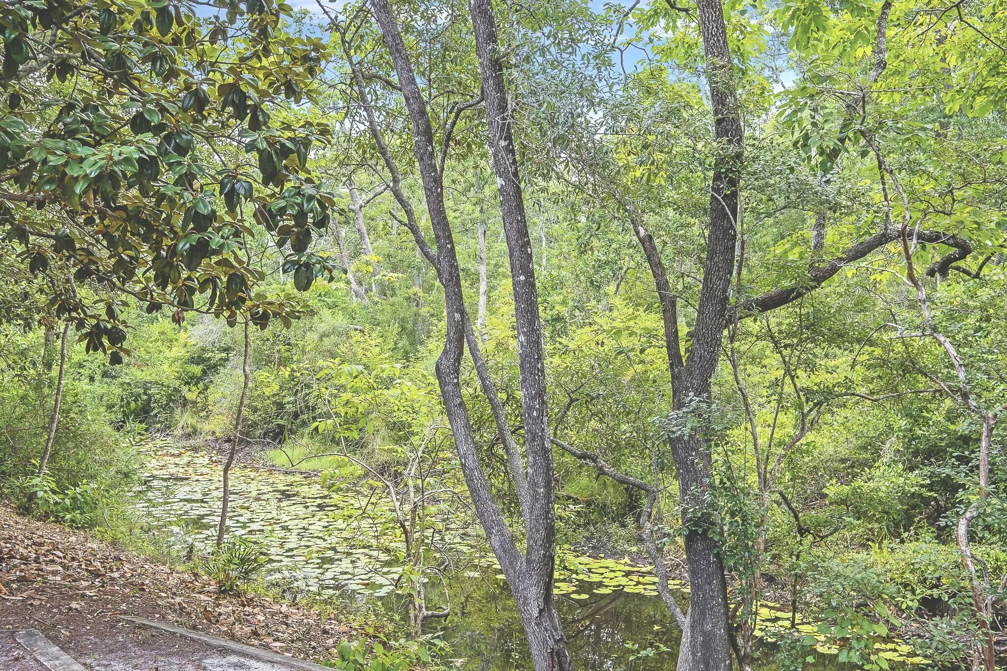 SEAGROVE SHORES 4TH ADD - Residential
