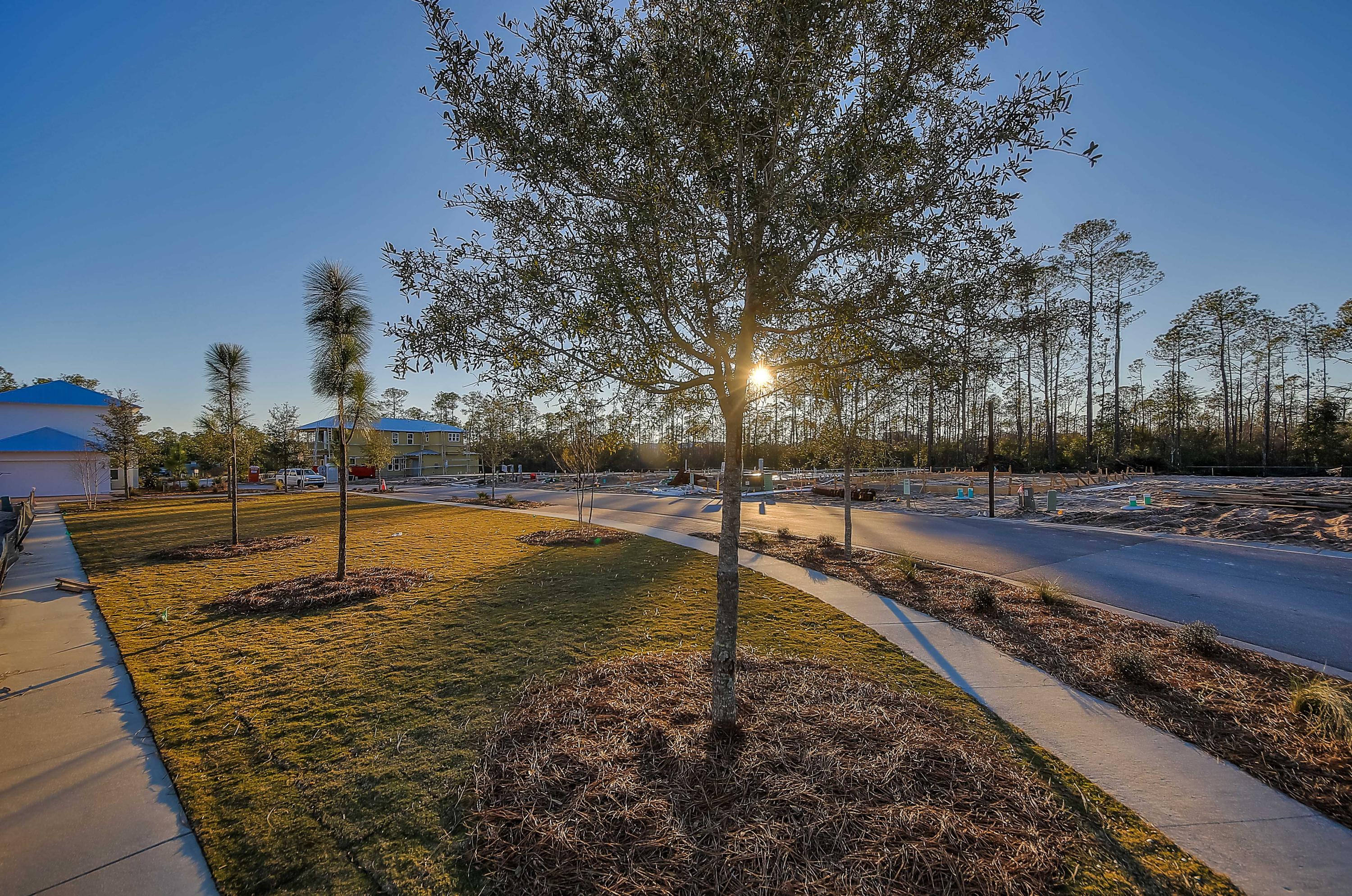 NATUREWALK AT SEAGROVE - Residential