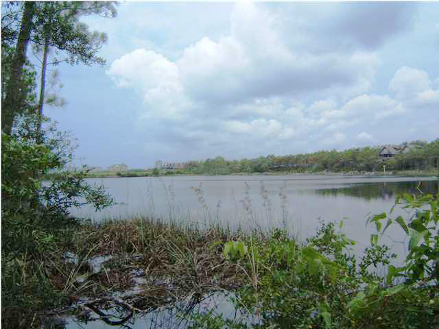 GULF LAKE BEACHES ESTATES - Residential