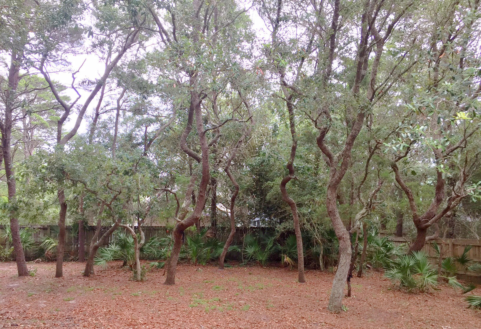 GULF LAKE BEACHES ESTATES - Residential