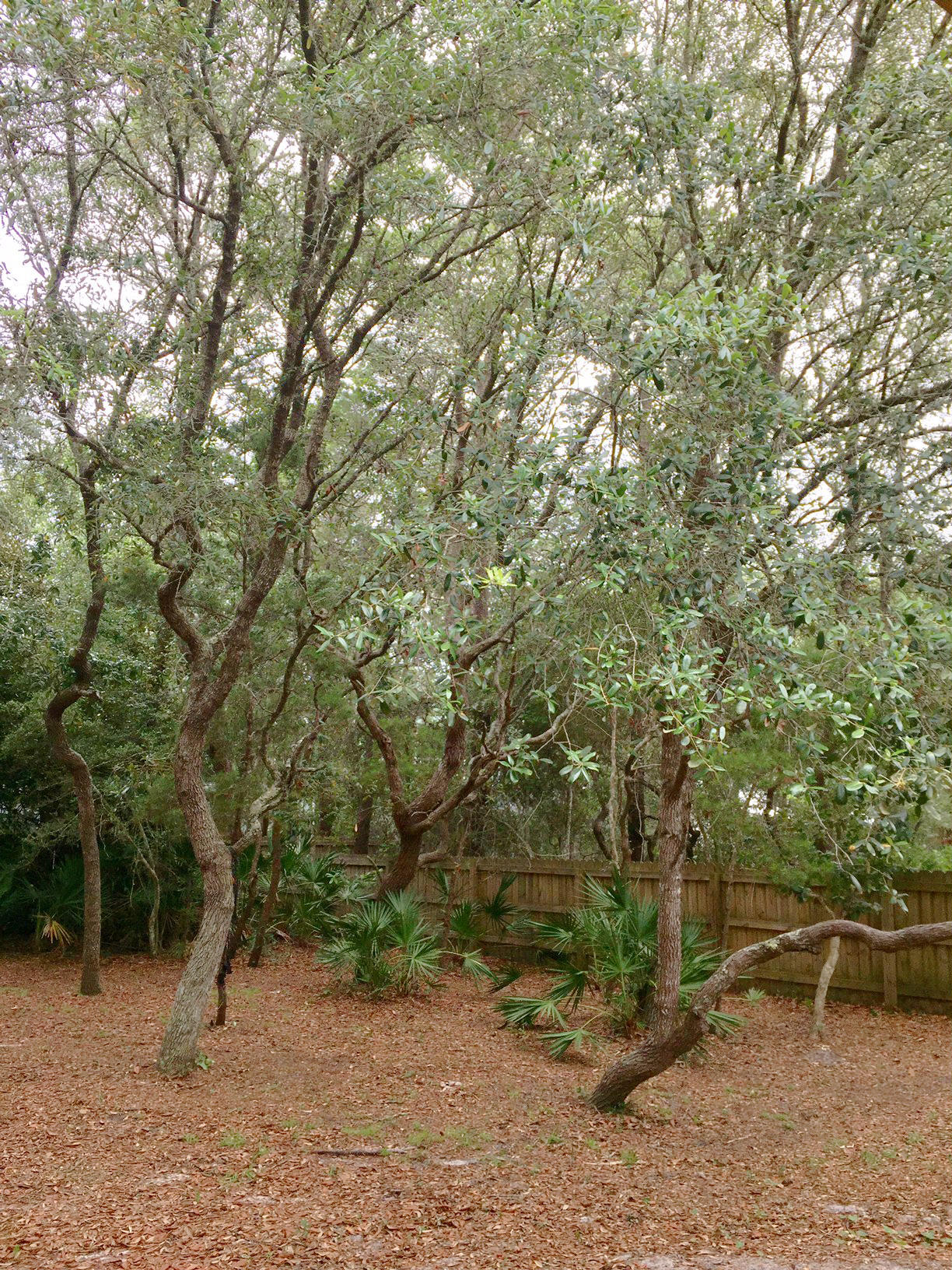 GULF LAKE BEACHES ESTATES - Residential