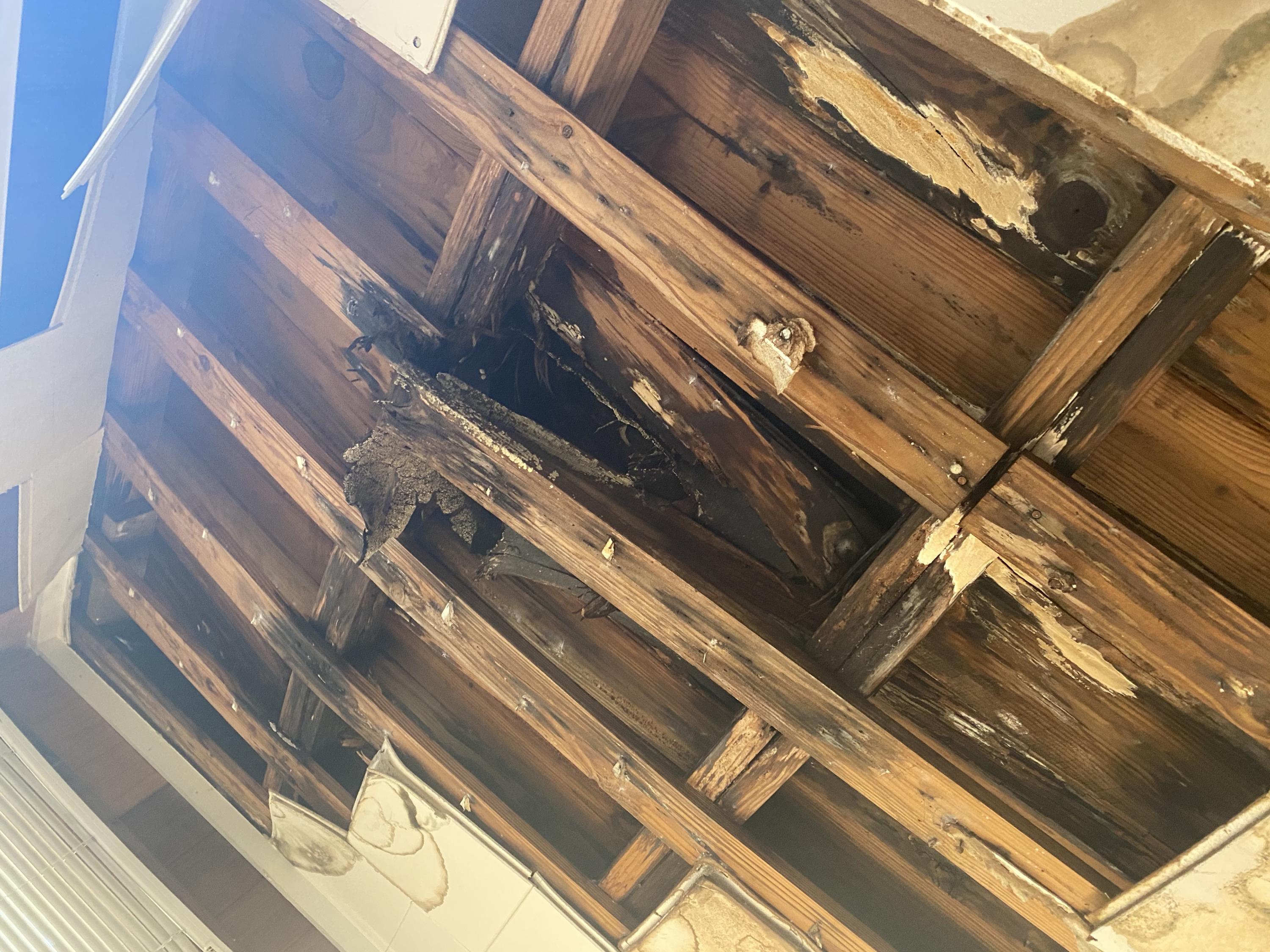 W.H. Long's S/D - Residential