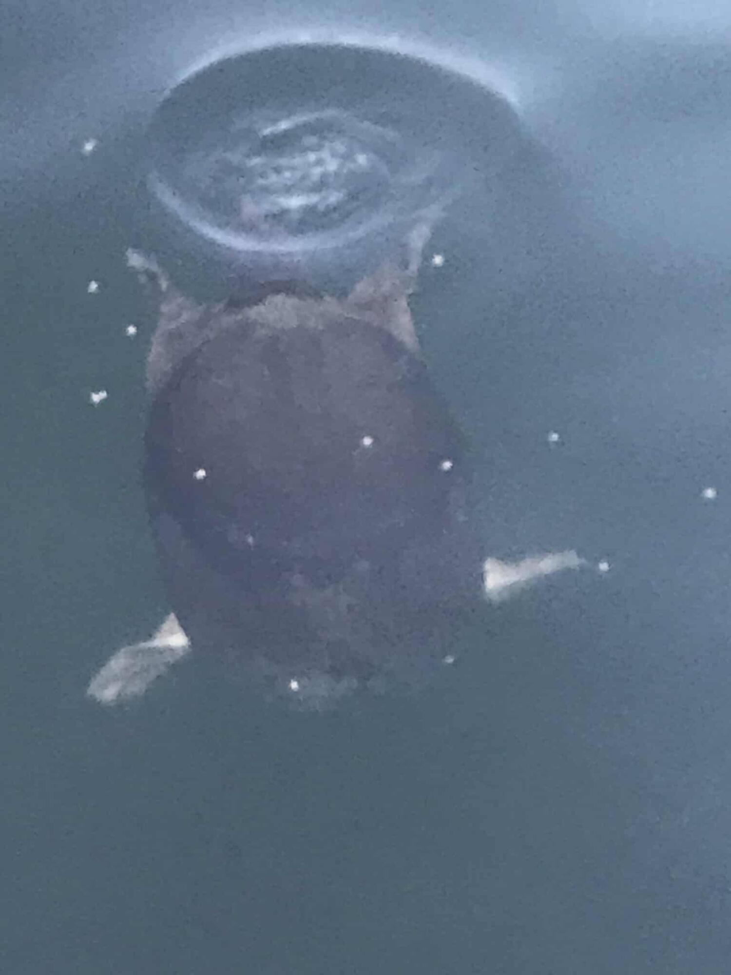 WILDWOOD LAKES UNIT 2 - Land