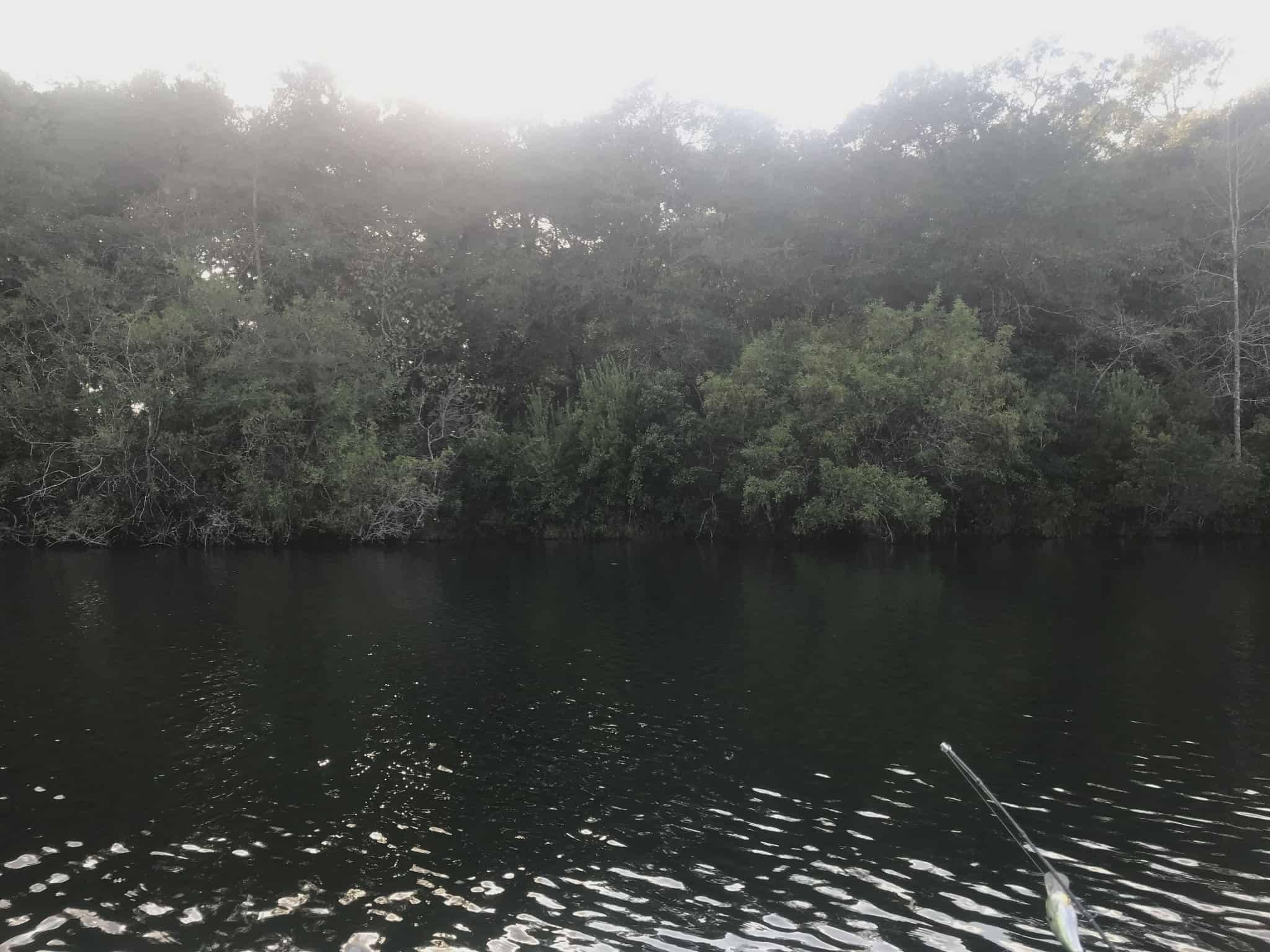 WILDWOOD LAKES UNIT 2 - Land