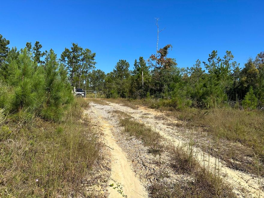 10 AC +/- Parcel D on Millside Road in Northwest Florida offering room to create a private homesite, recreational escape, or small farm setting. The land features a blend of hardwoods and planted pines, with open areas and natural cover that support the local wildlife frequently seen across the property. Deer tracks are visible throughout the parcel, adding to the character of this rural landscape. Whether planning a barndominium, traditional home, or a place to enjoy the outdoors, this property provides a flexible setting to bring your building ideas to life. The surrounding countryside offers quiet, open skies where the stars still shine bright at night. Millside Road is currently included in a county paving plan.