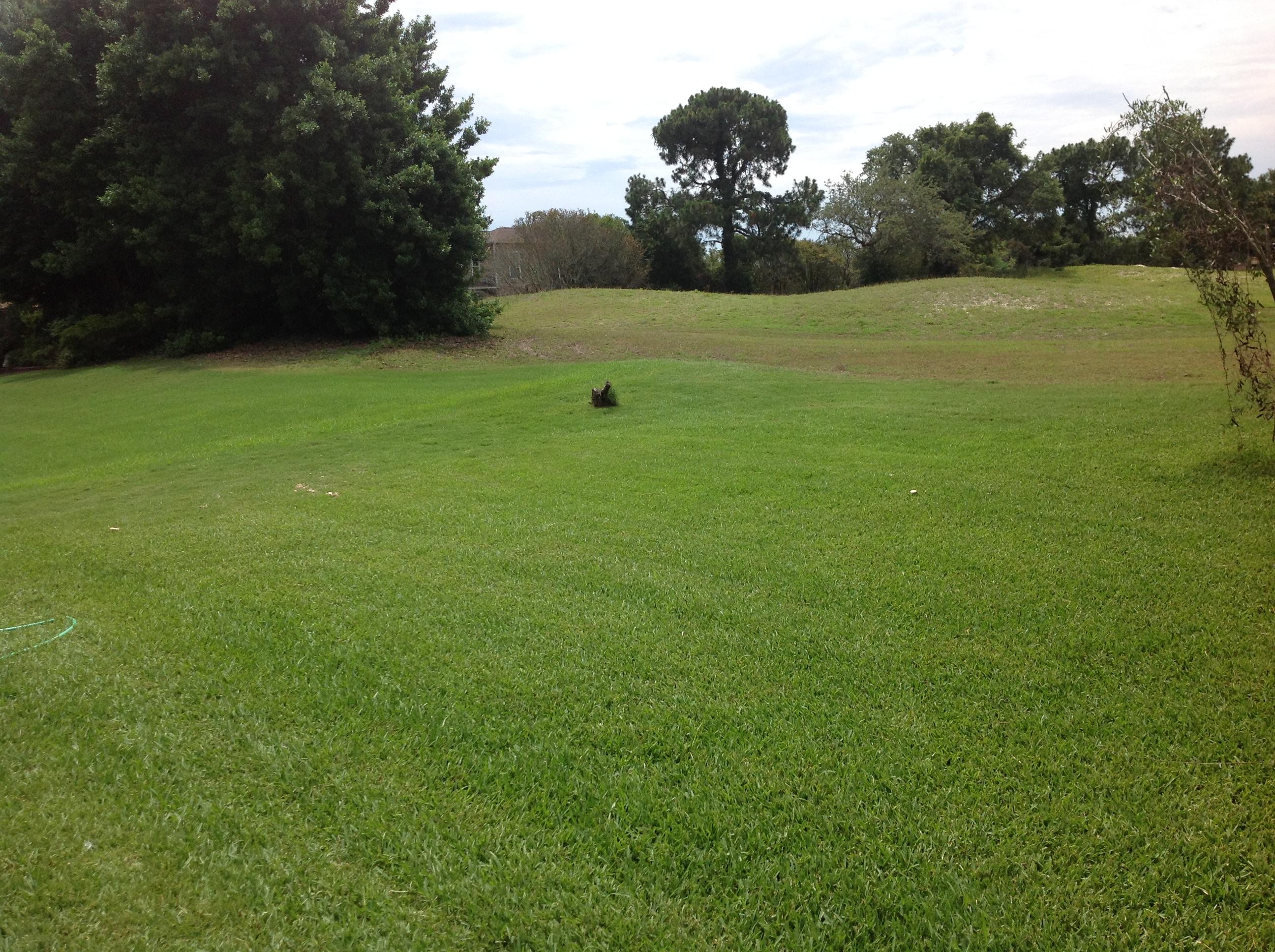 SHALIMAR POINTE PH 1 - Residential