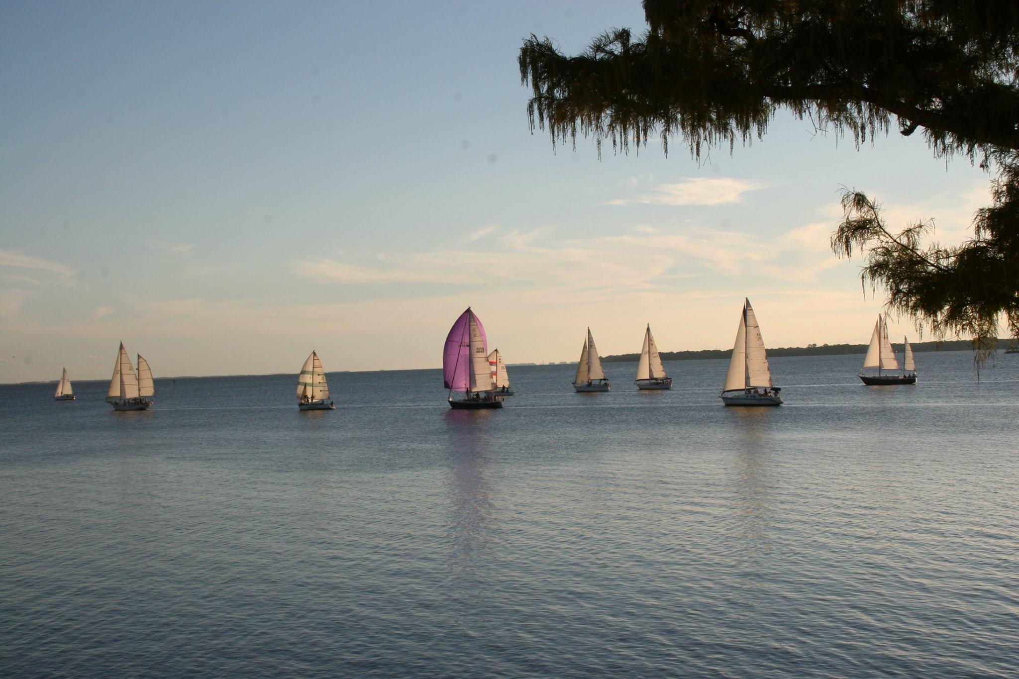 BAYSIDE VILLAS CONDO - Residential