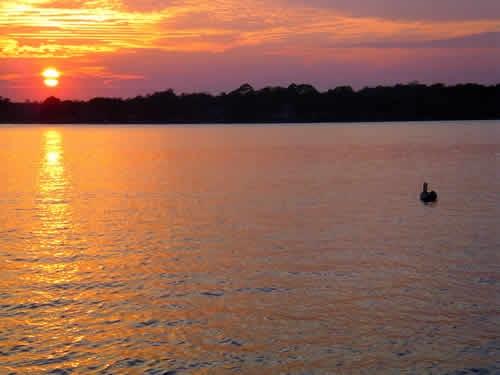 BAYSIDE VILLAS CONDO - Residential