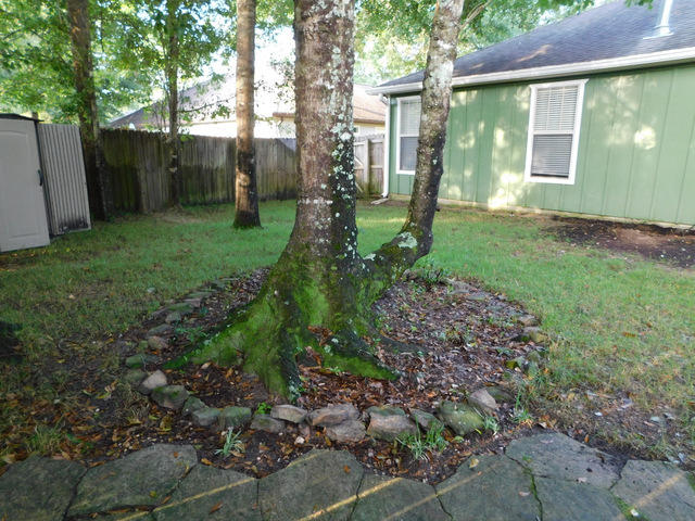 WALSH GLEN ESTATES - Residential