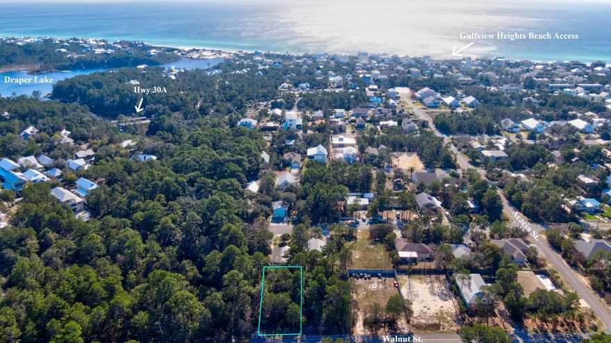 MOTIVATED SELLER! BEST BUILDABLE LOT PRICE IN THE NEIGHBORHOOD! RECENTLY BRUSH CLEARED AND EASY TO WALK AND PLAN HOME DESIGN. NO HOA, BUY NOW, BUILD AT YOUR LEISURE! LOCATION! Current survey and full Development Feasibility Report already completed and available at no cost to buyer.   This secluded end of road lot located adjacent to natural growth forest with no through traffic is in desirable Gulfview Heights neighborhood. Keep the mature long leaf pines and Magnolias and/or clear to your preference. No wetlands! Gulfview Heights beach access and Draper Lake is located just south of 30a. Easy access to Gulf Place entertainment, shopping and dining. Longleaf Pine Trailhead is one block north spanning miles through Pt. Washington State Forest.