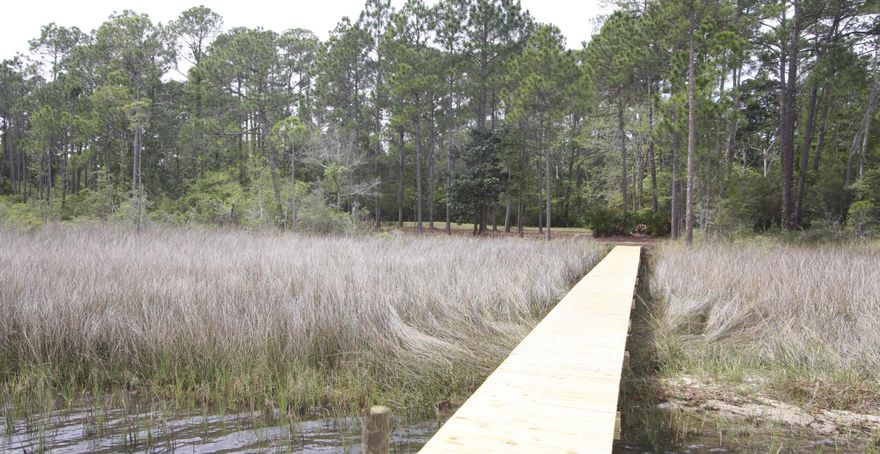 Privacy on this bayou lot. Large, new dock with tie-up pilings. Protected anchorage with outstanding water views. Lot has new unused septic system though public sewer and water are available. This deep water (3+ft) bayou lot in Mussett Bayou is tucked deeply away from it all and very private, though close to hospital, restaurants, shopping and only 30 minutes from the Destin Harbor by boat. We often see Dolphin's and Eagles feeding in the Bayou. Property has easement for use of common driveway.