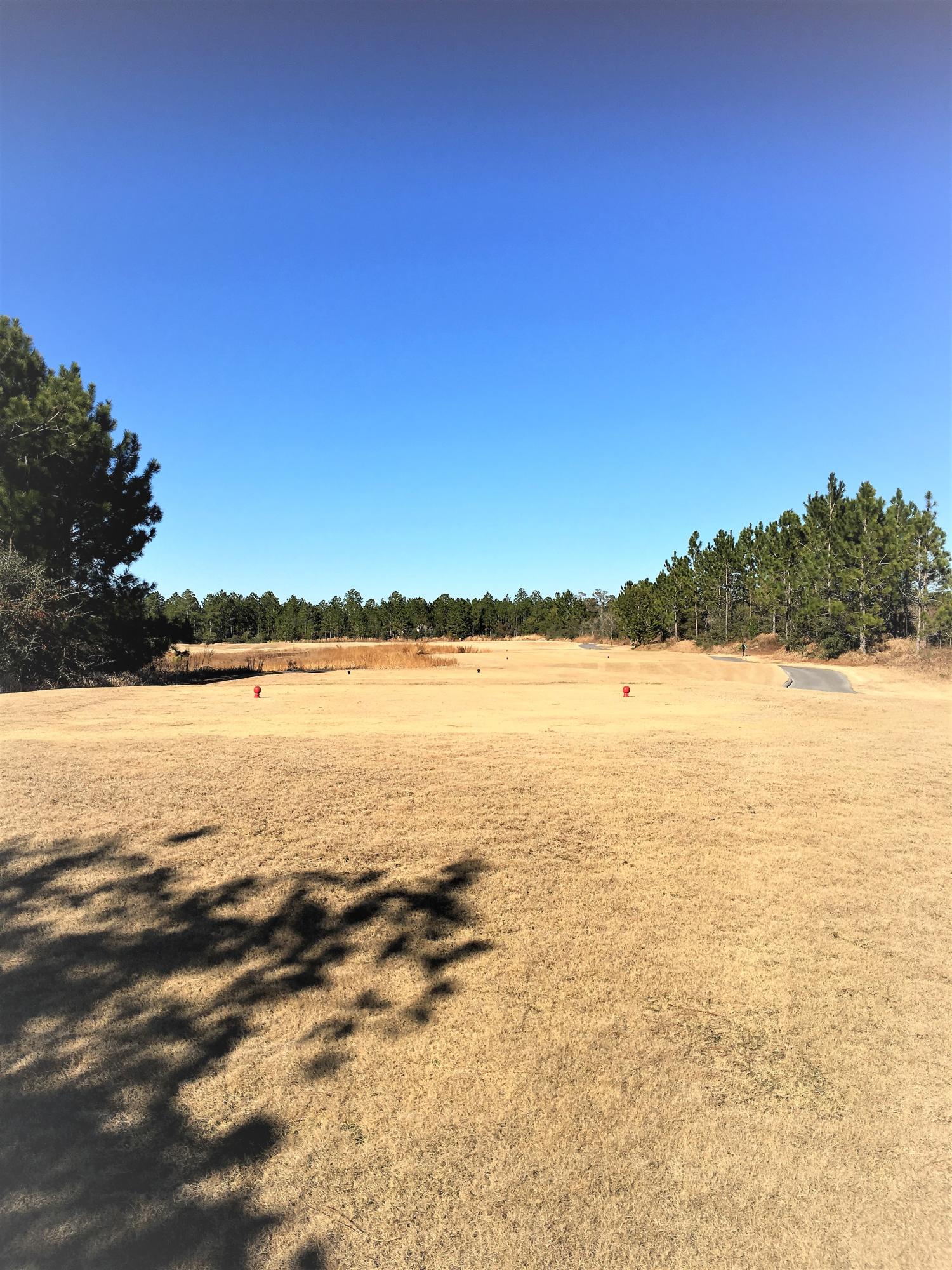 WINDSWEPT ESTATES - Residential