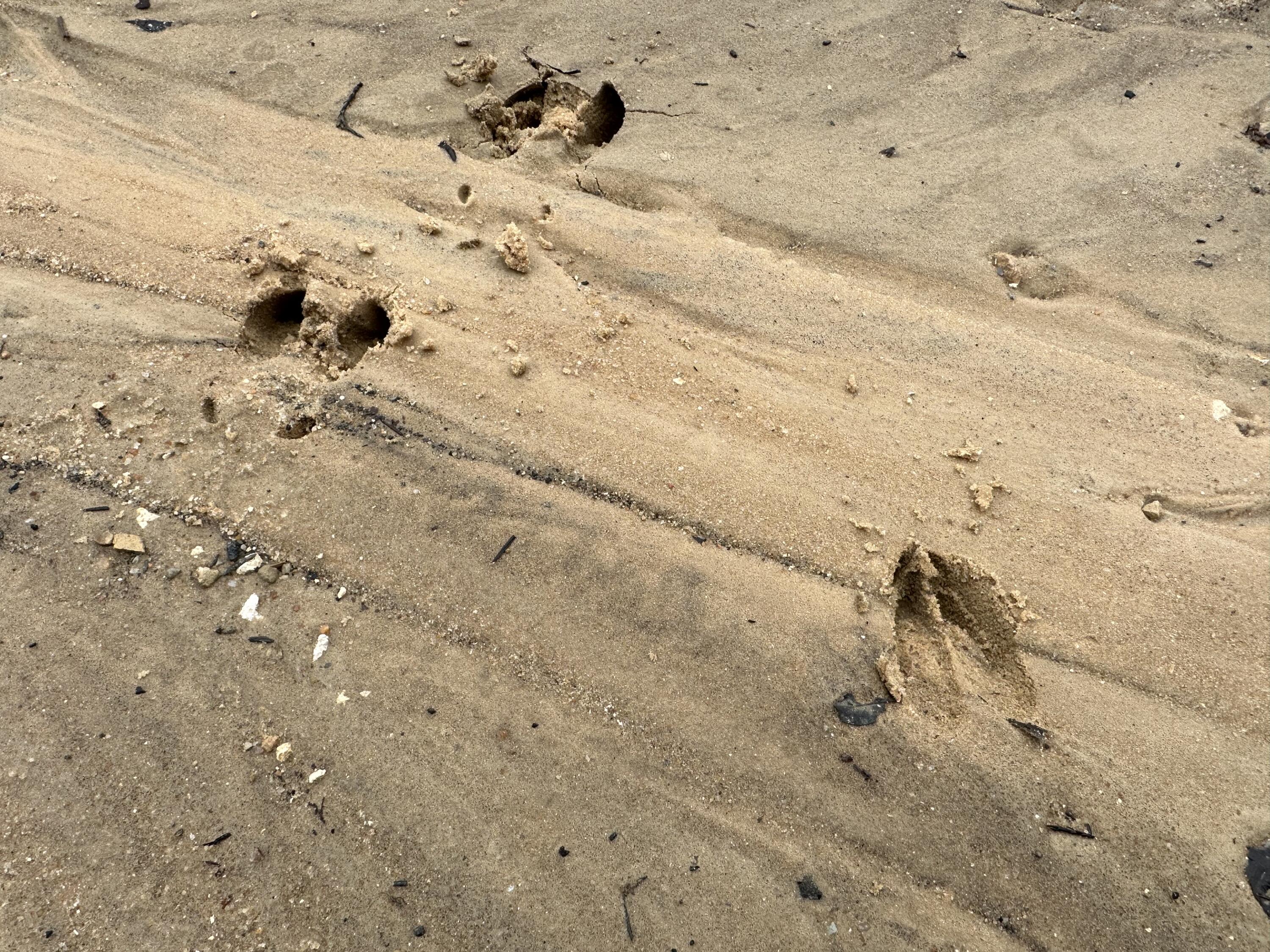 METES & BOUNDS - Land