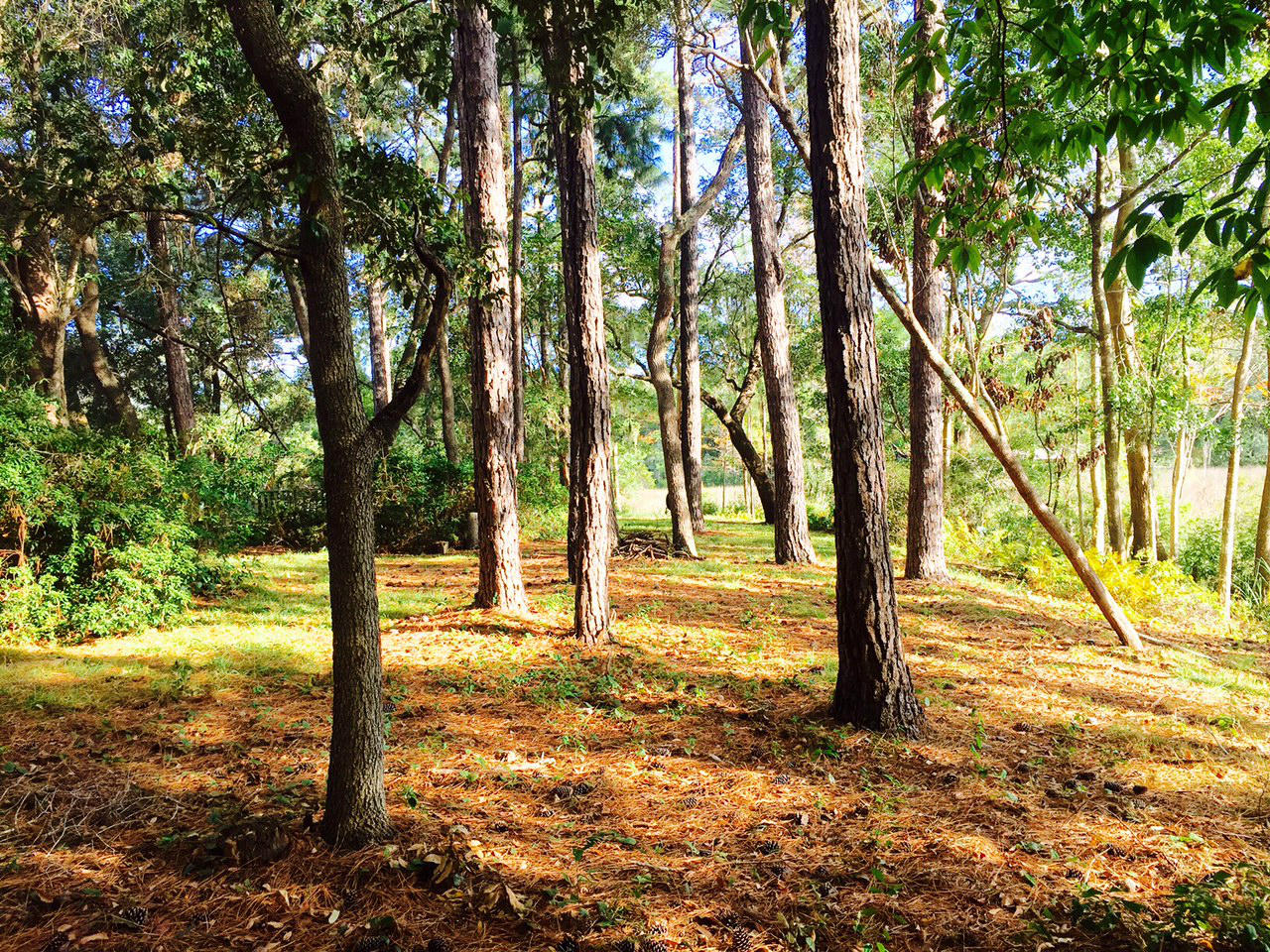 LAIRDS 2ND ADDN - Residential