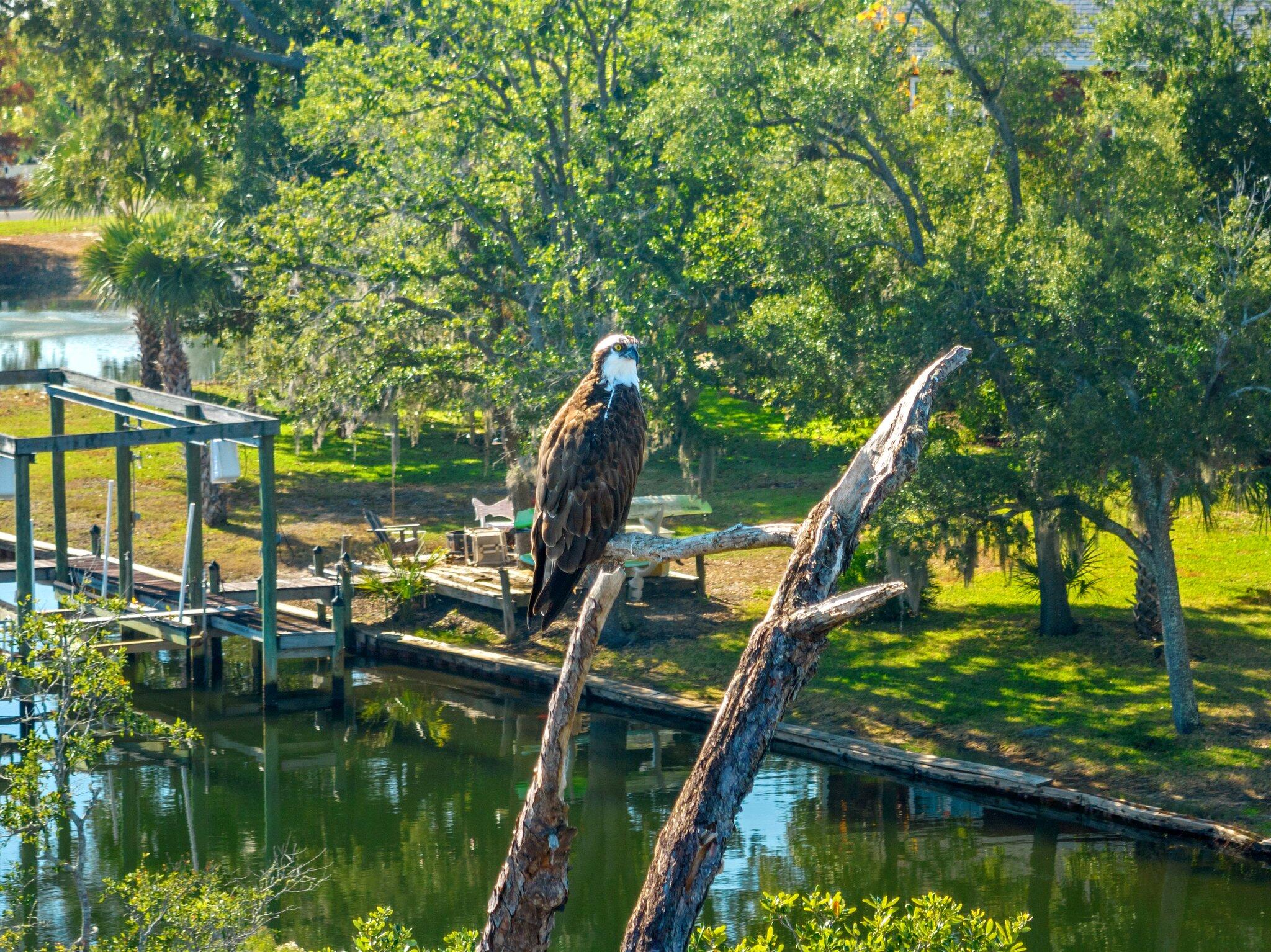 Lynn Haven Replat - Residential