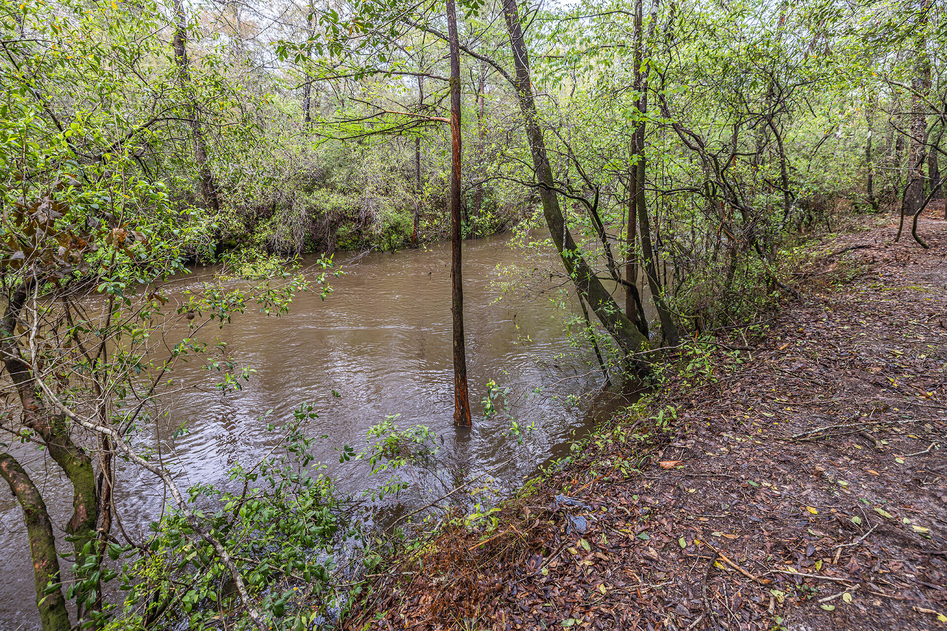SHOAL RIVER UNREC - Residential
