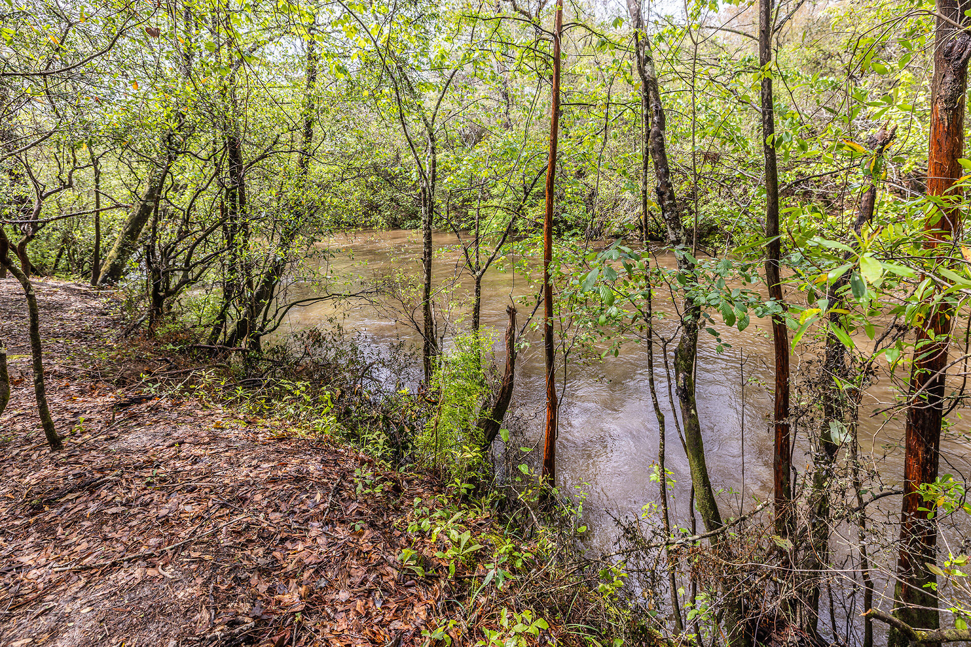 SHOAL RIVER UNREC - Residential