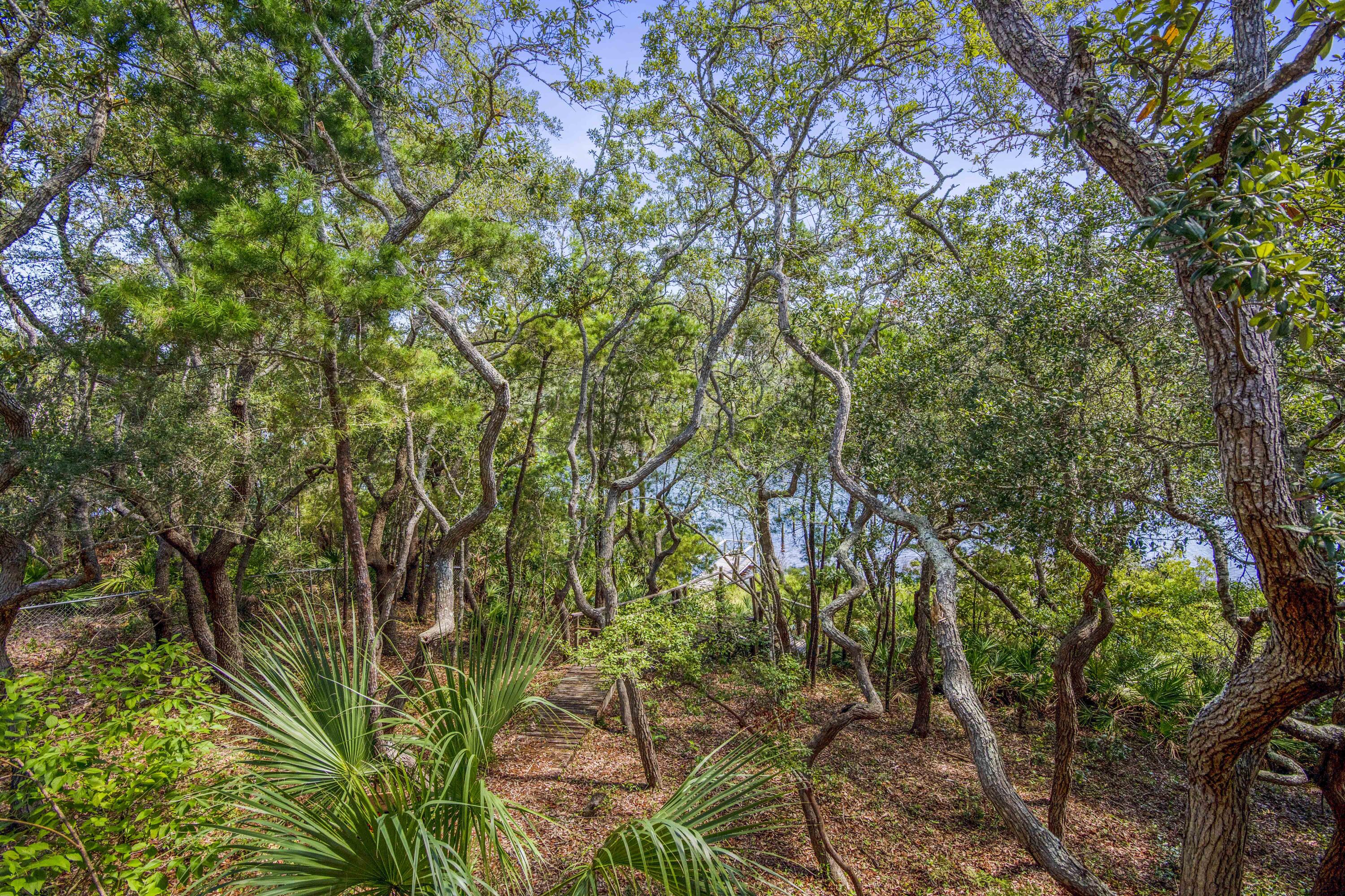 BLUE MOUNTAIN BEACH - Residential