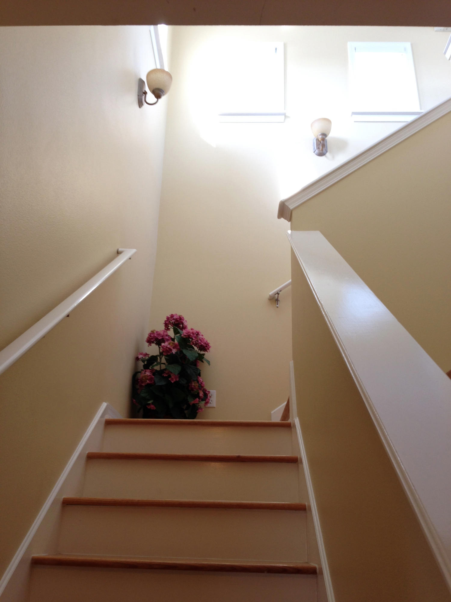 Gulfside Cottages - Residential