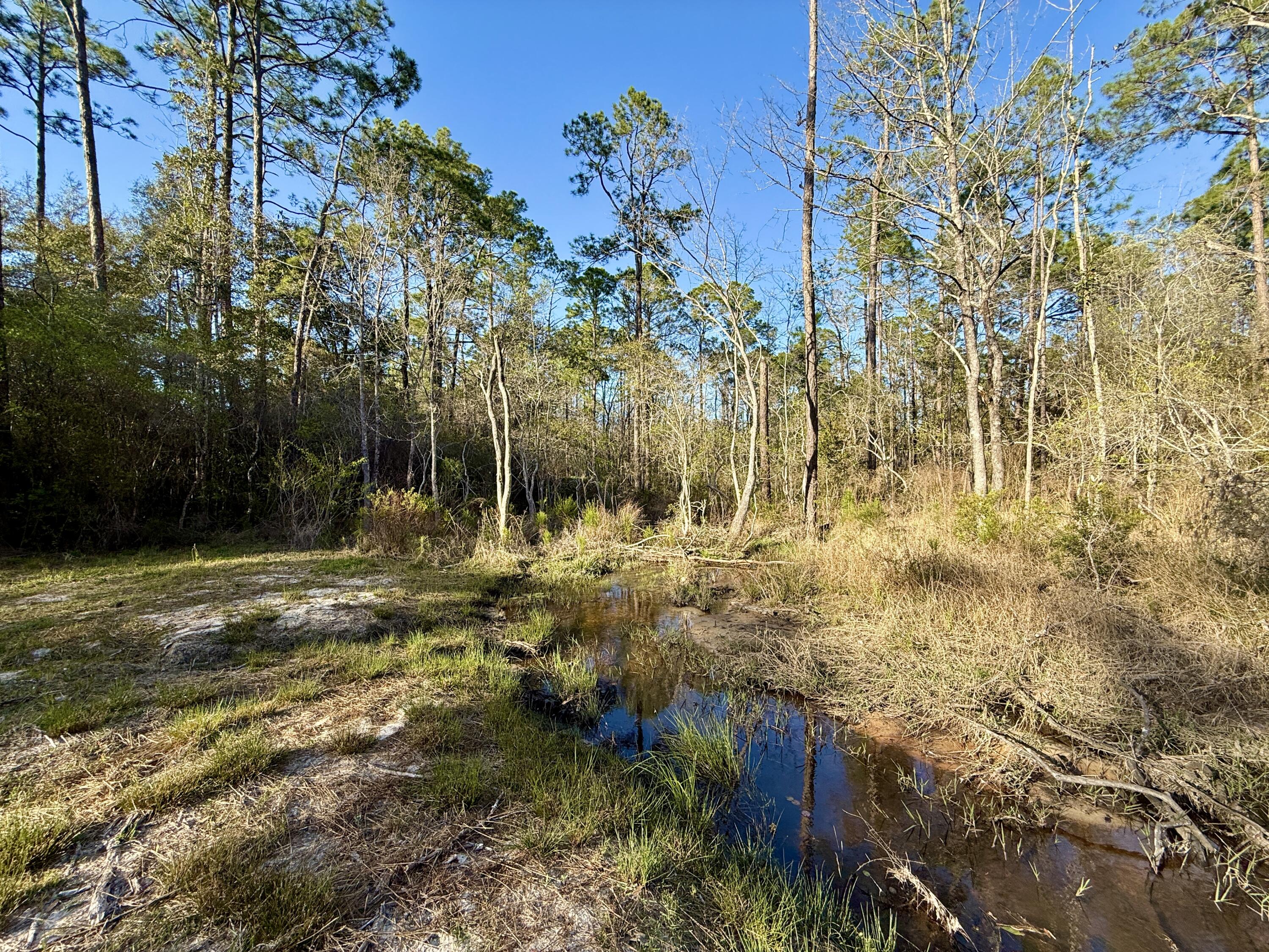 LAKE JUNIPER ESTATES UNIT 3 - Land